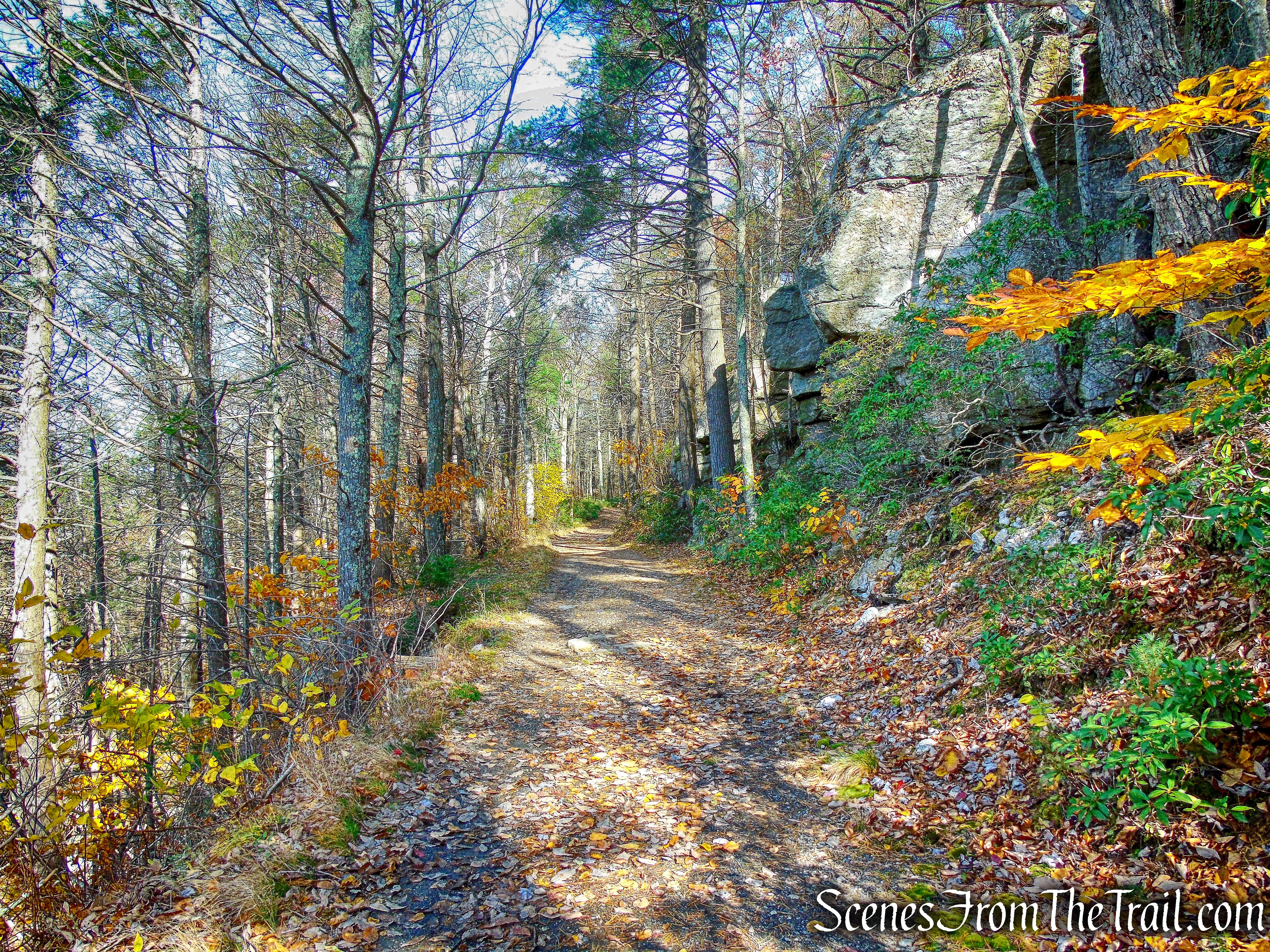 Laurel Ledge Road