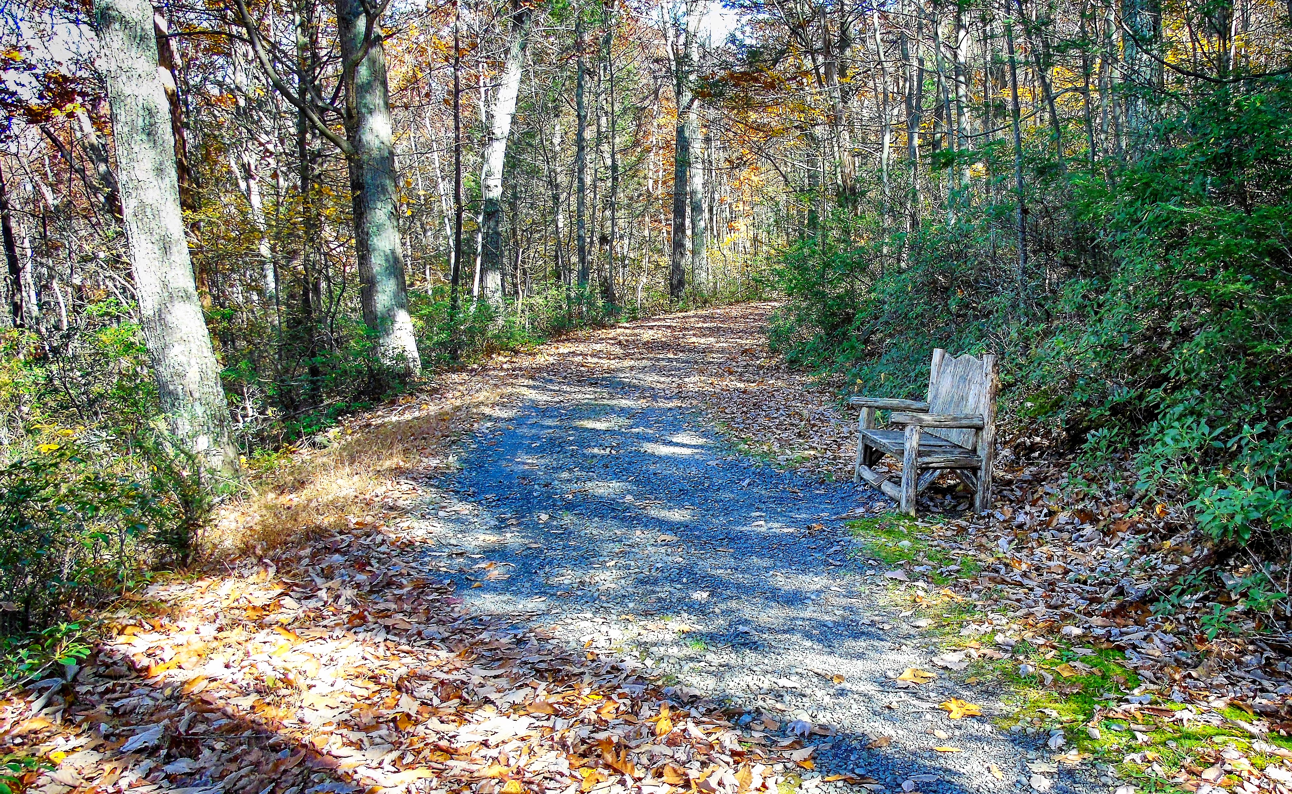 Laurel Ledge Road