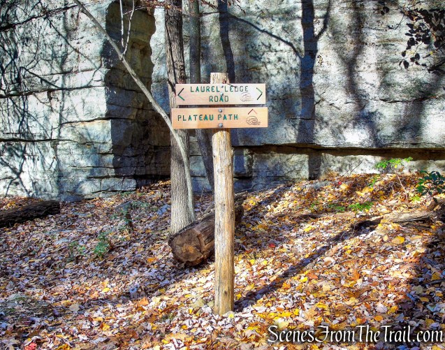 Laurel Ledge Road