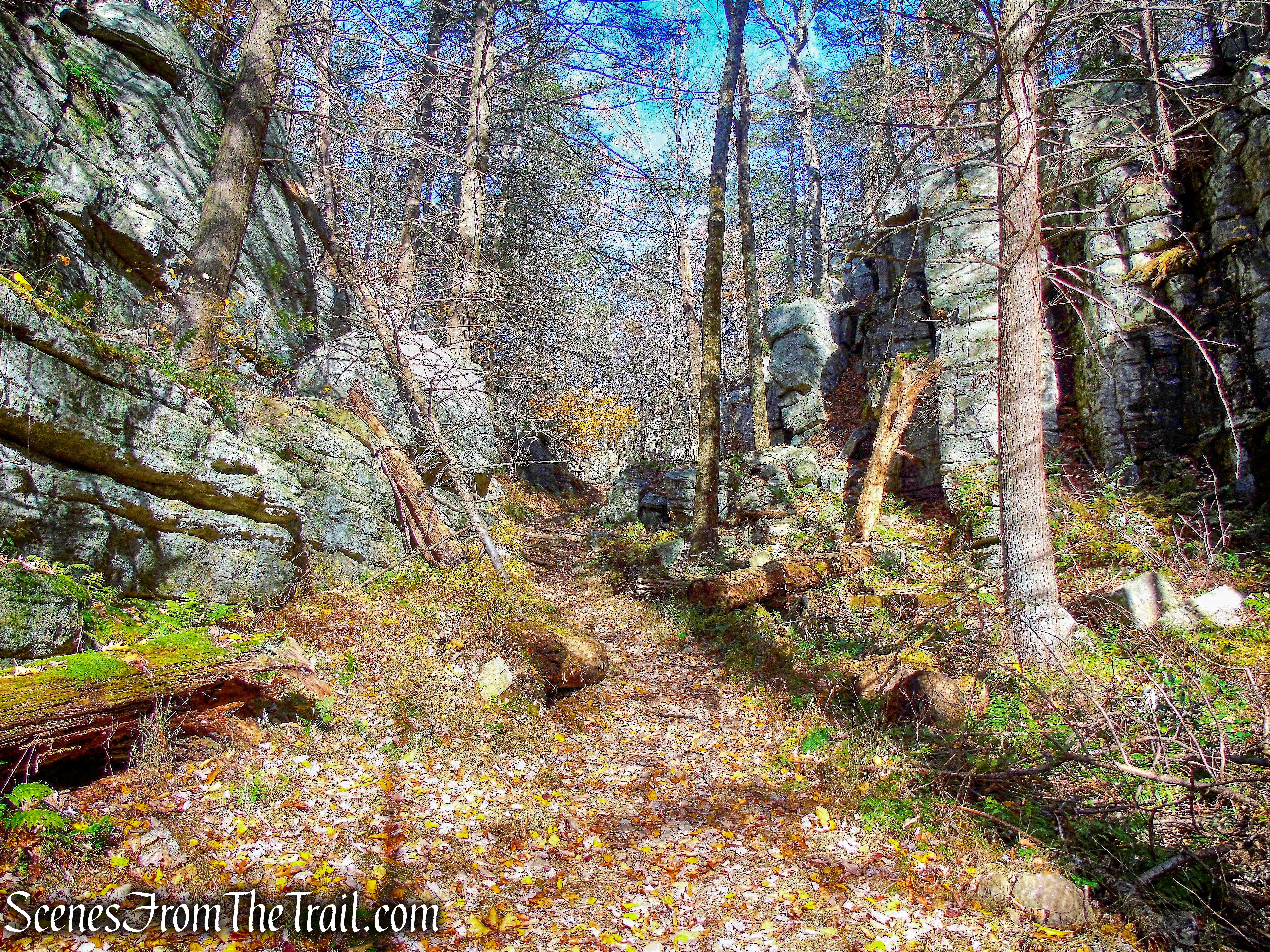 Maple Path