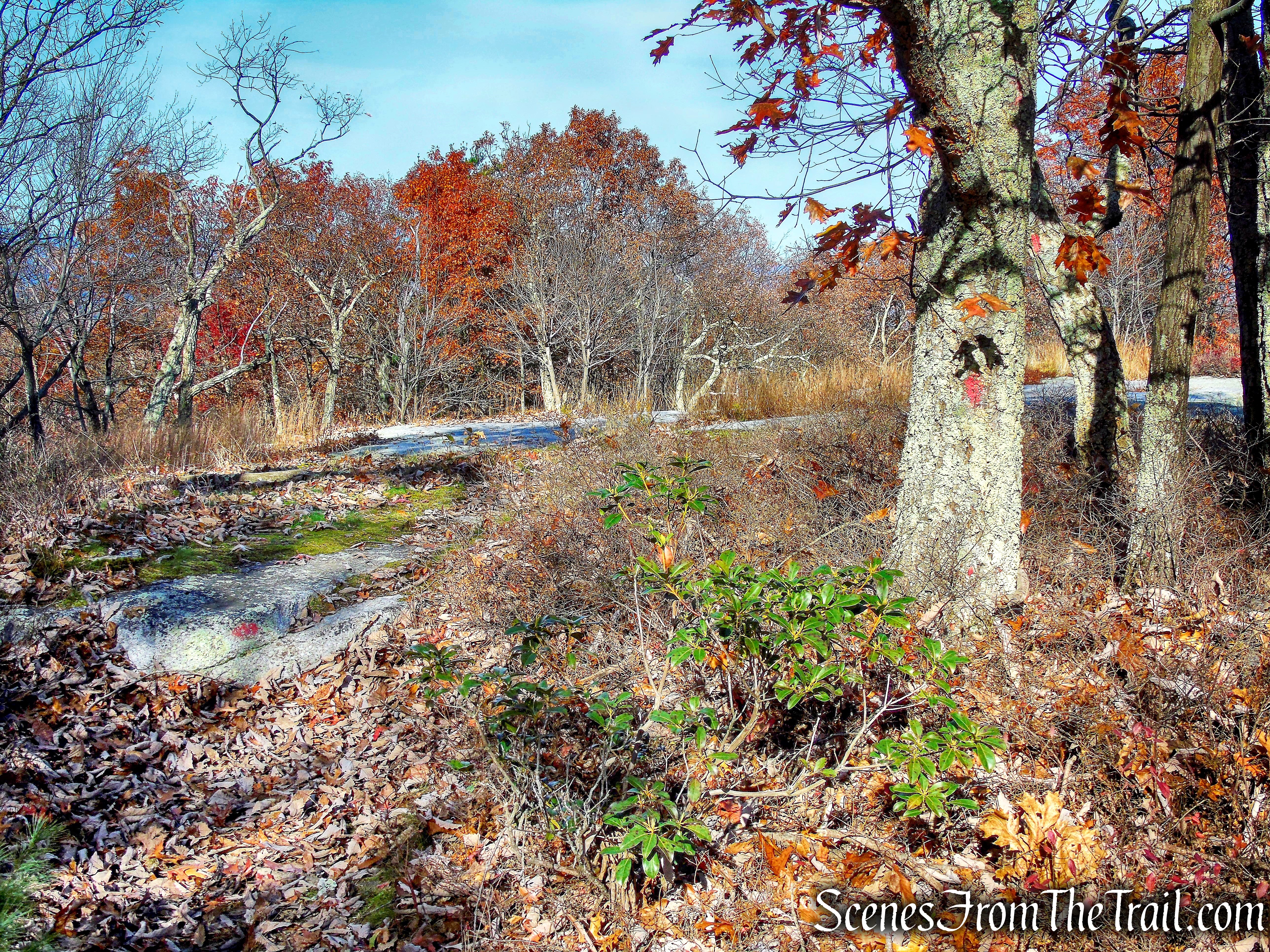 Stokes Trail
