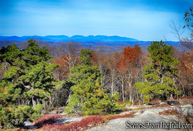 view from Stokes Trail