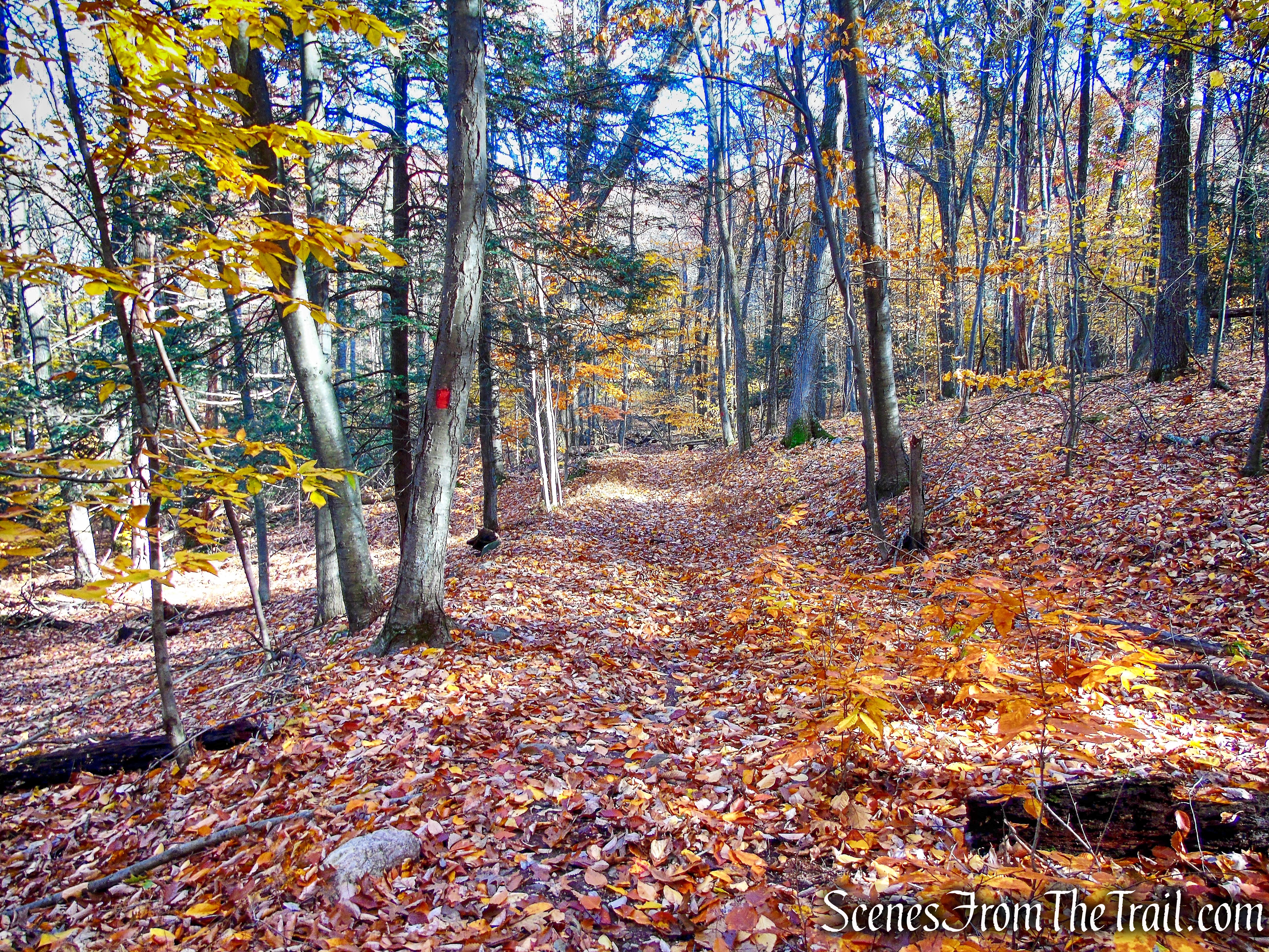 Stokes Trail