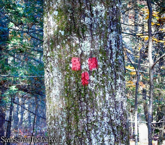 terminus of Stokes Trail