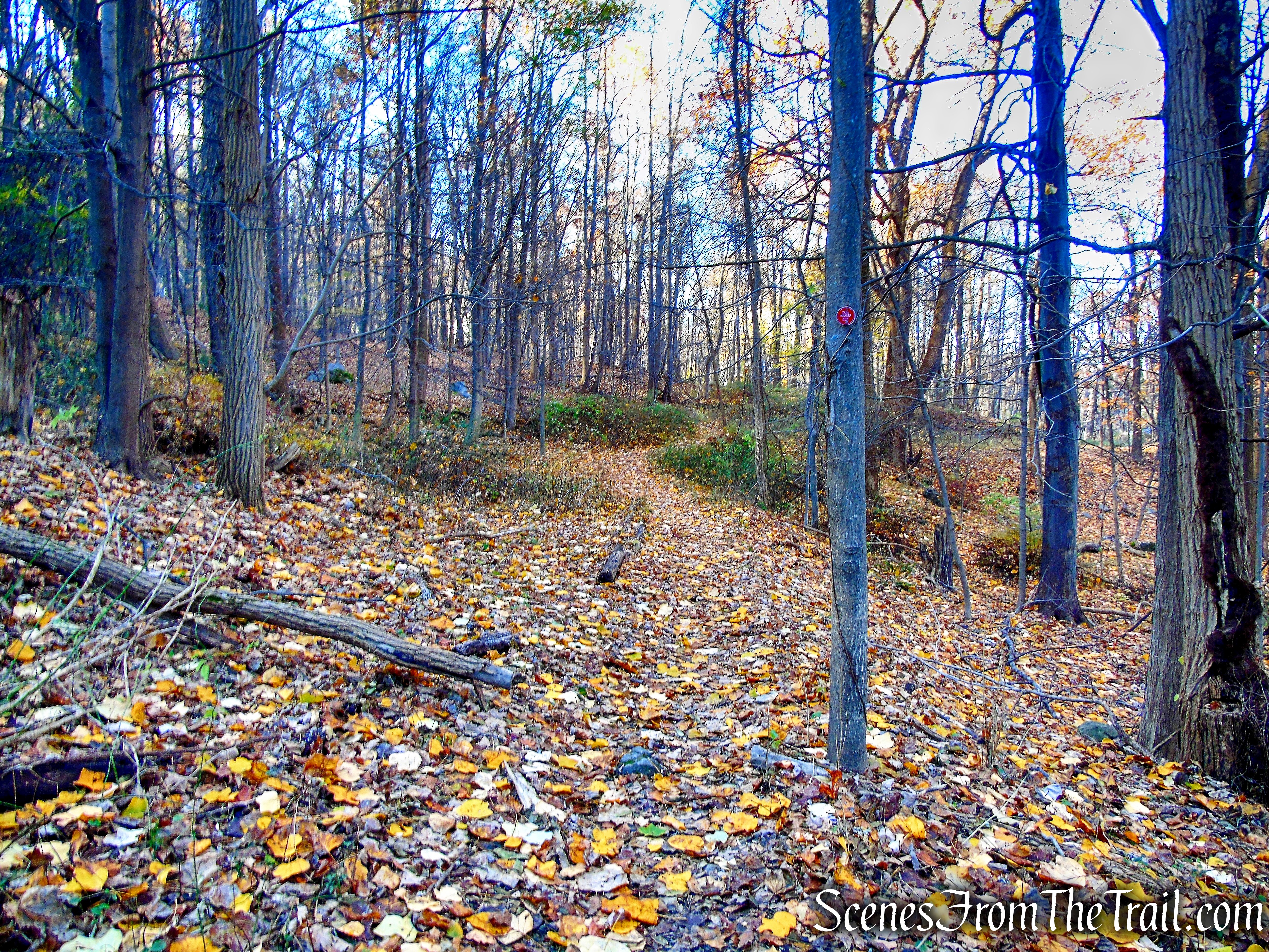 Overlook Trail