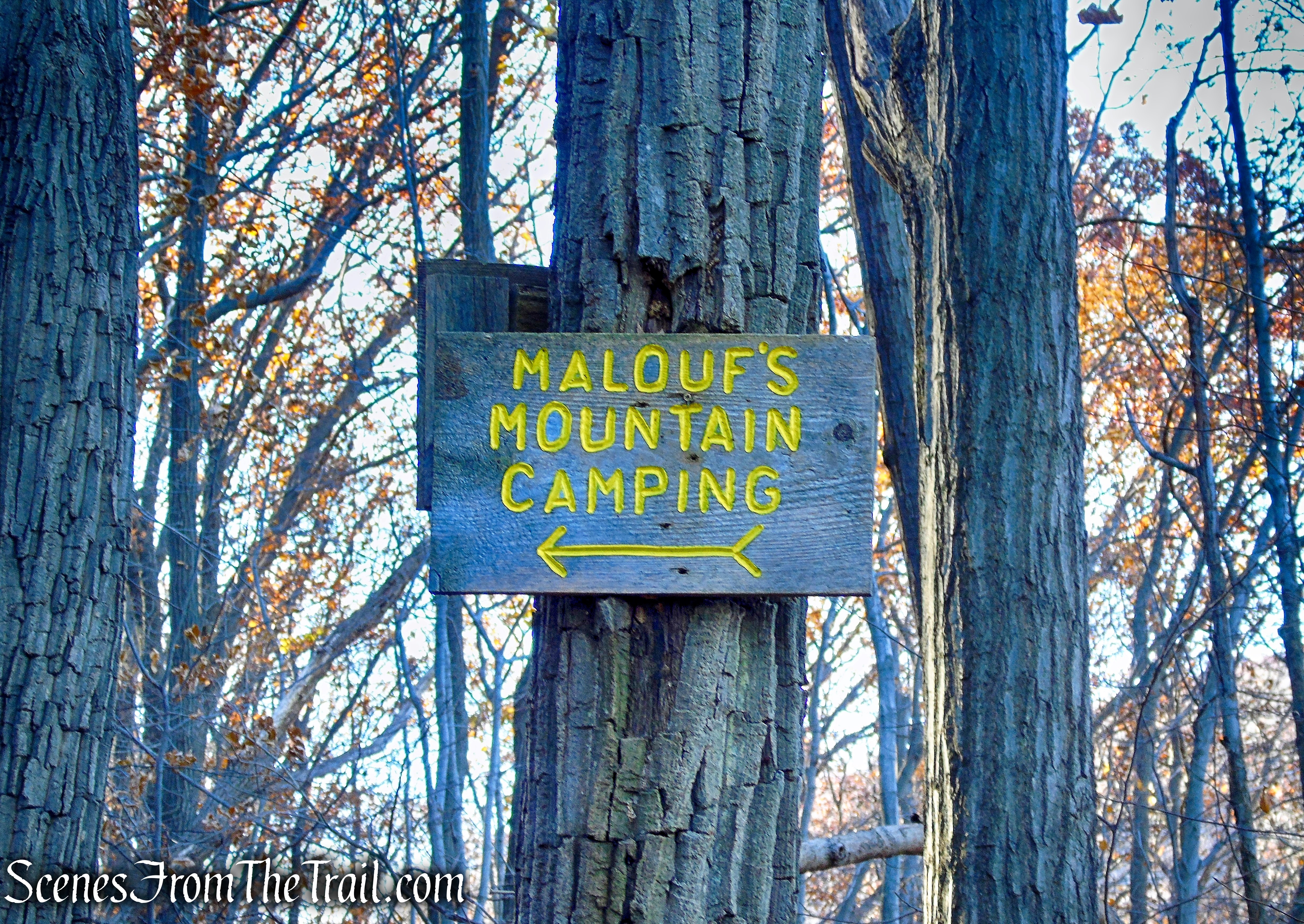 Overlook Trail
