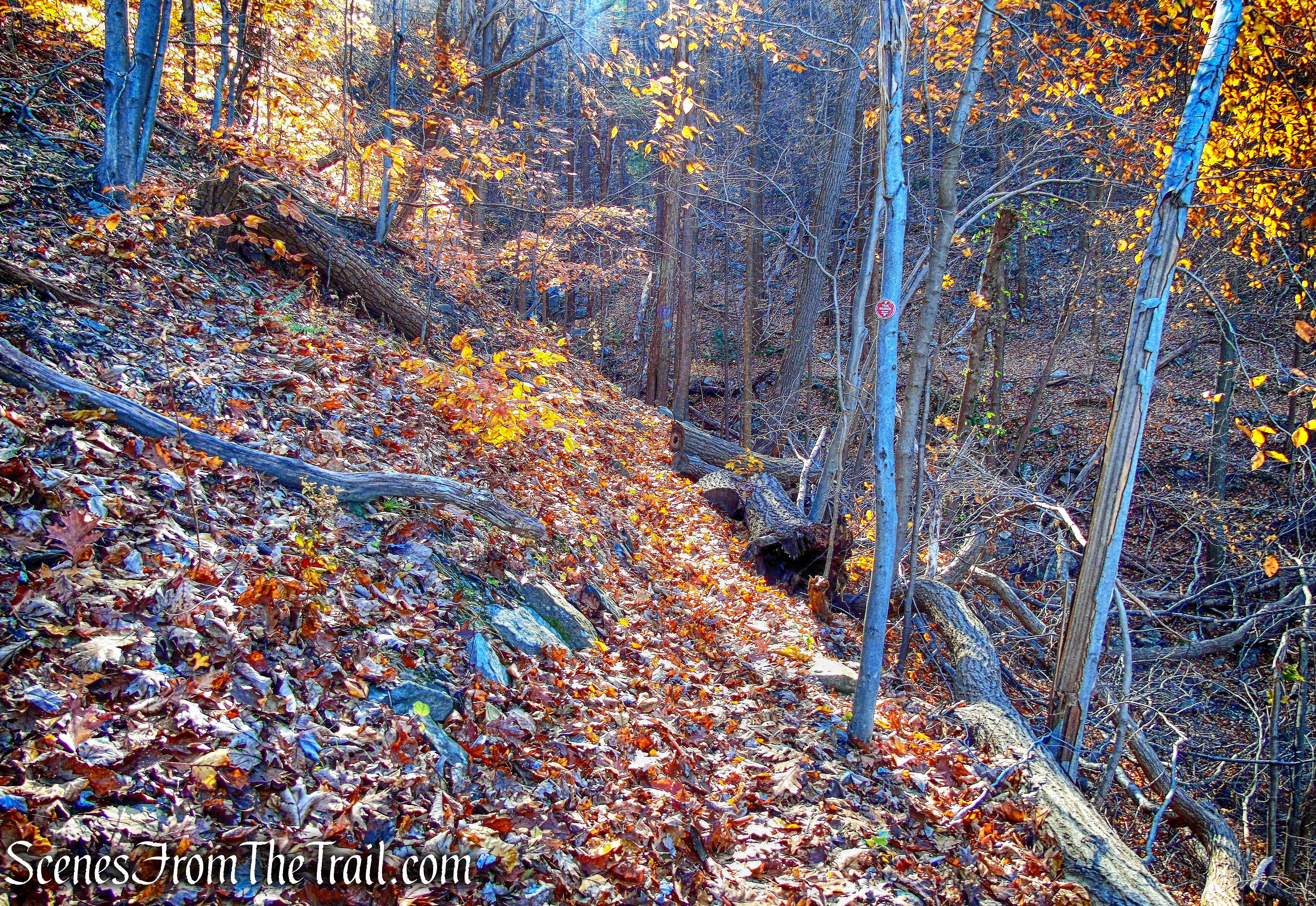 Overlook Trail