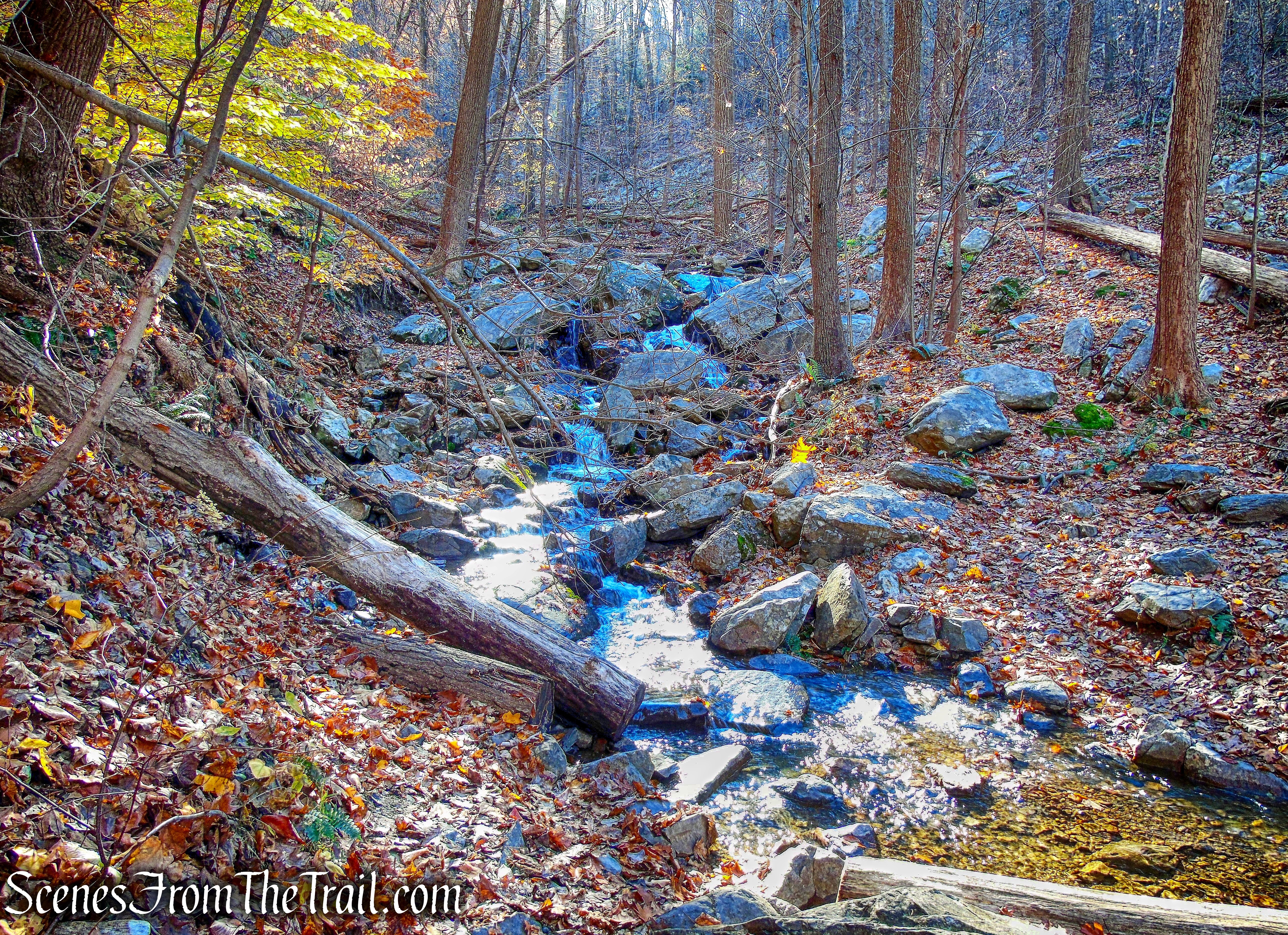Clove Creek - Overlook Trail