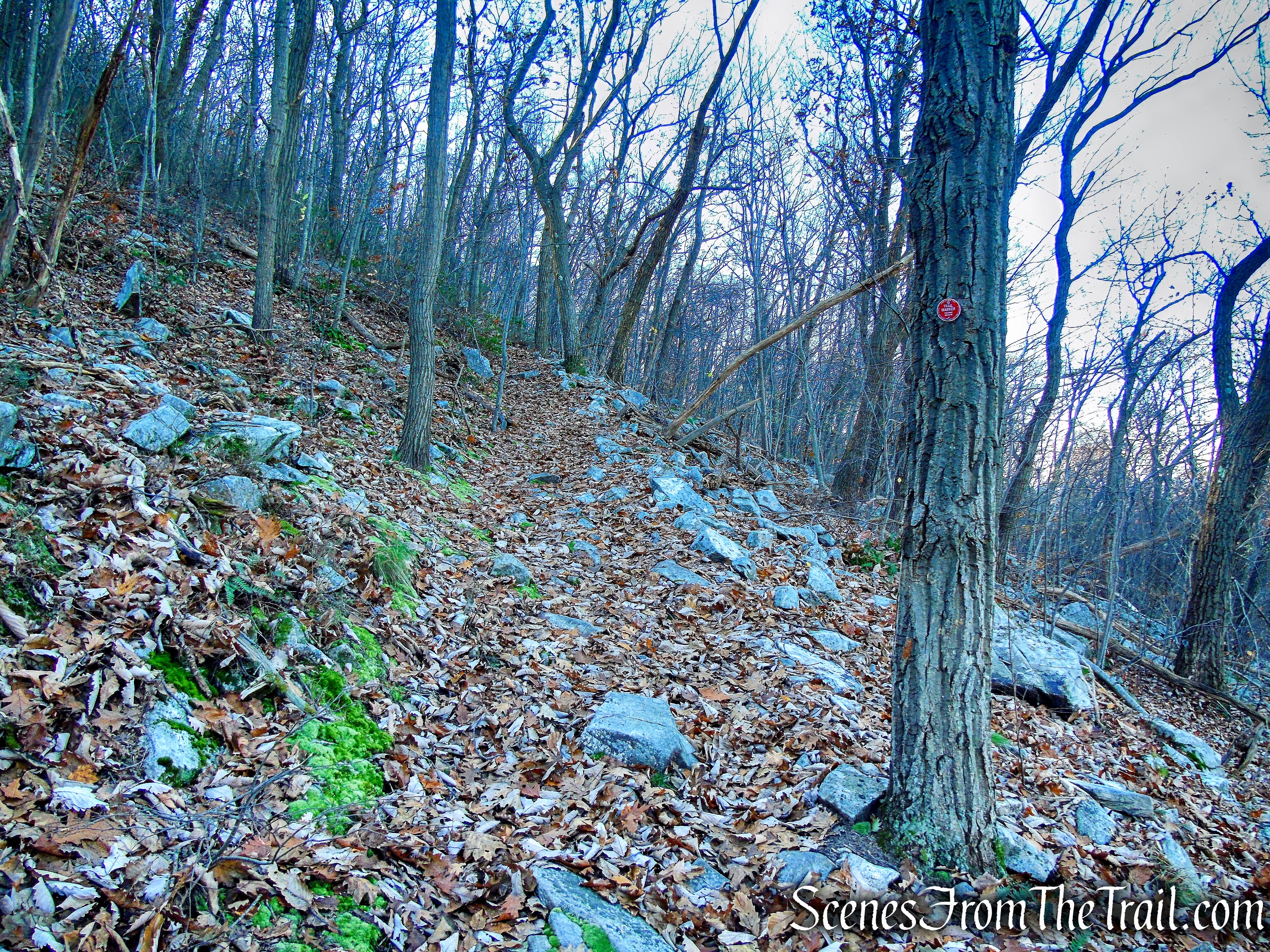 Overlook Trail