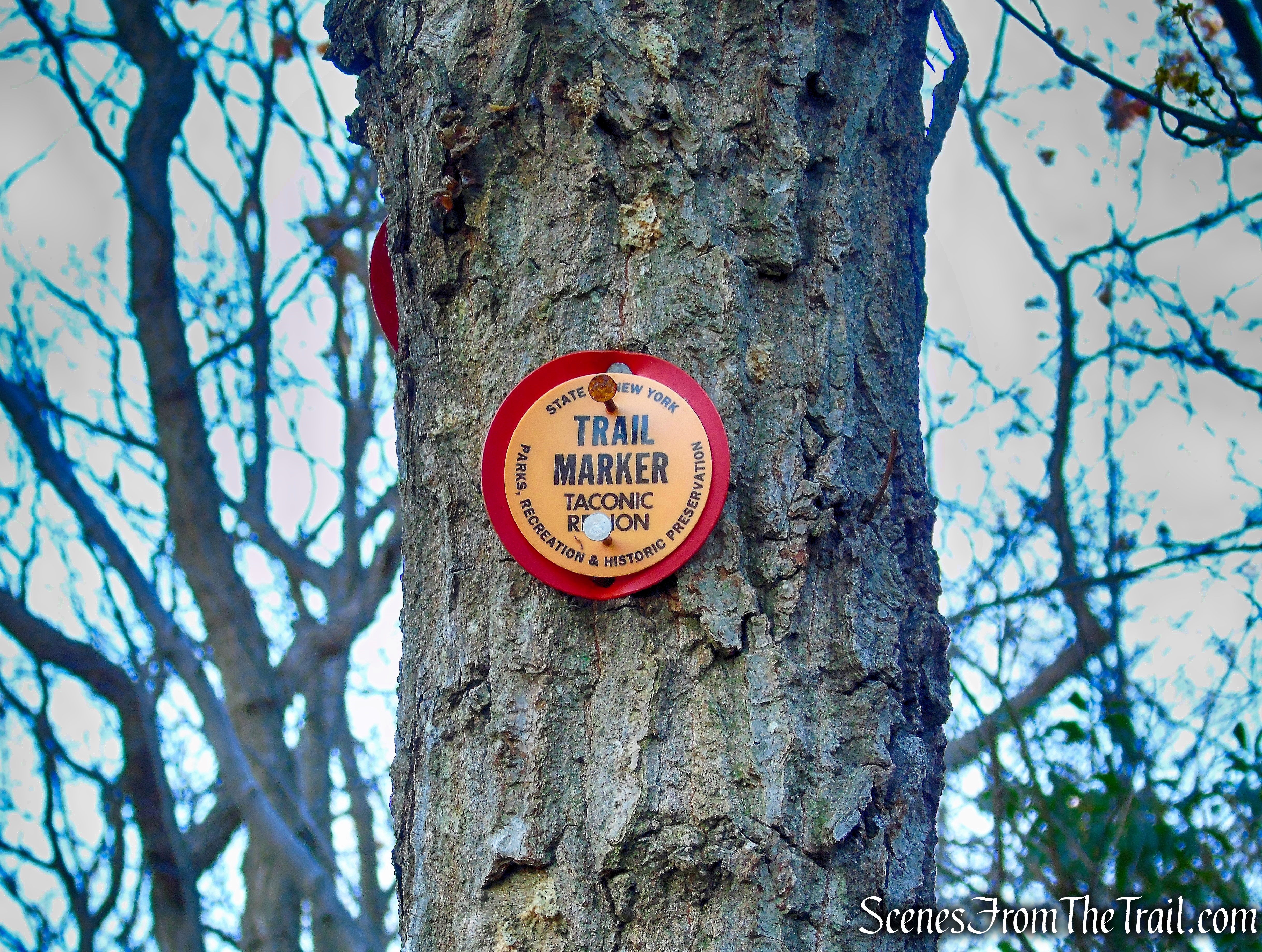 Overlook Trail
