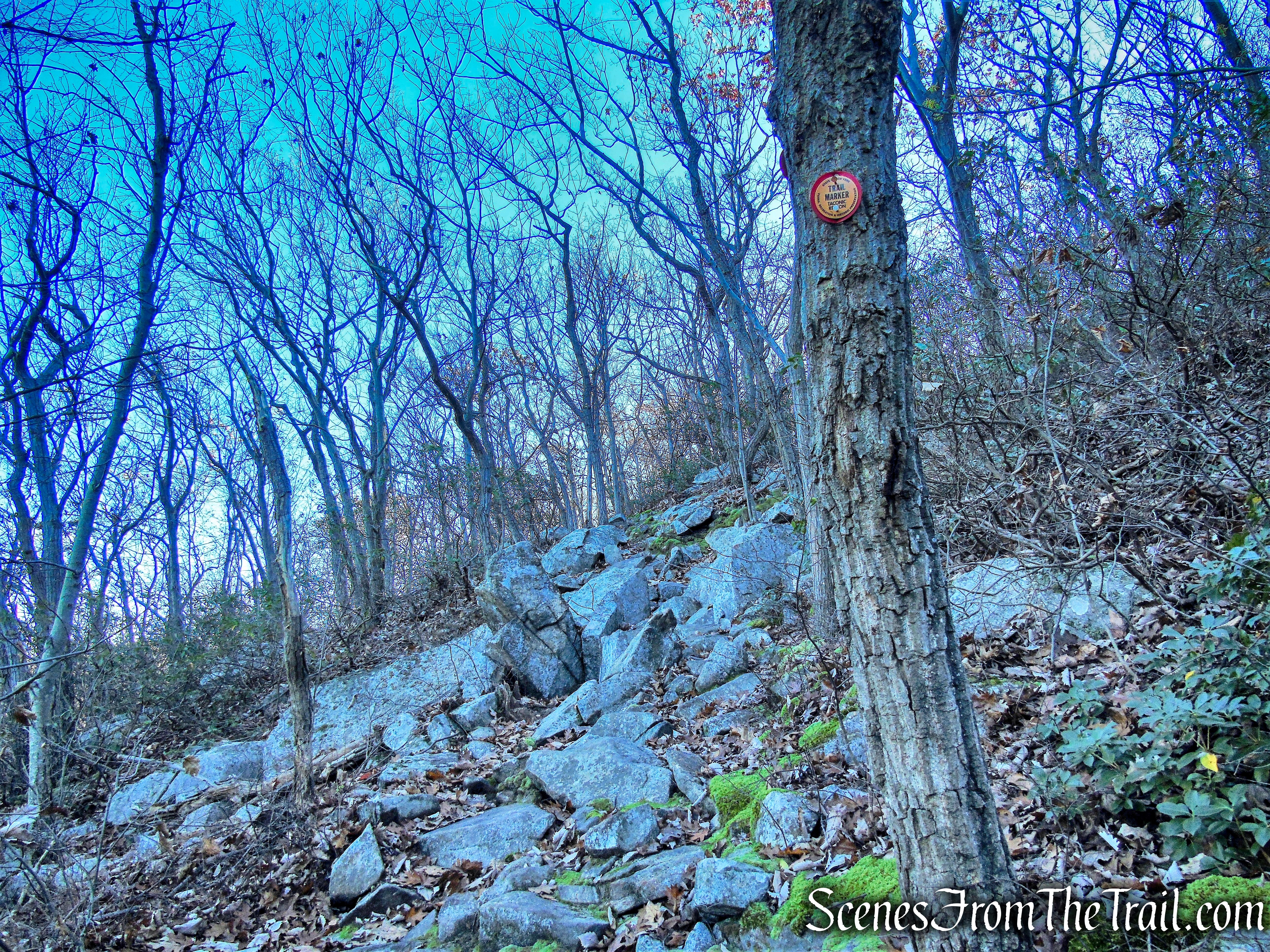 Overlook Trail