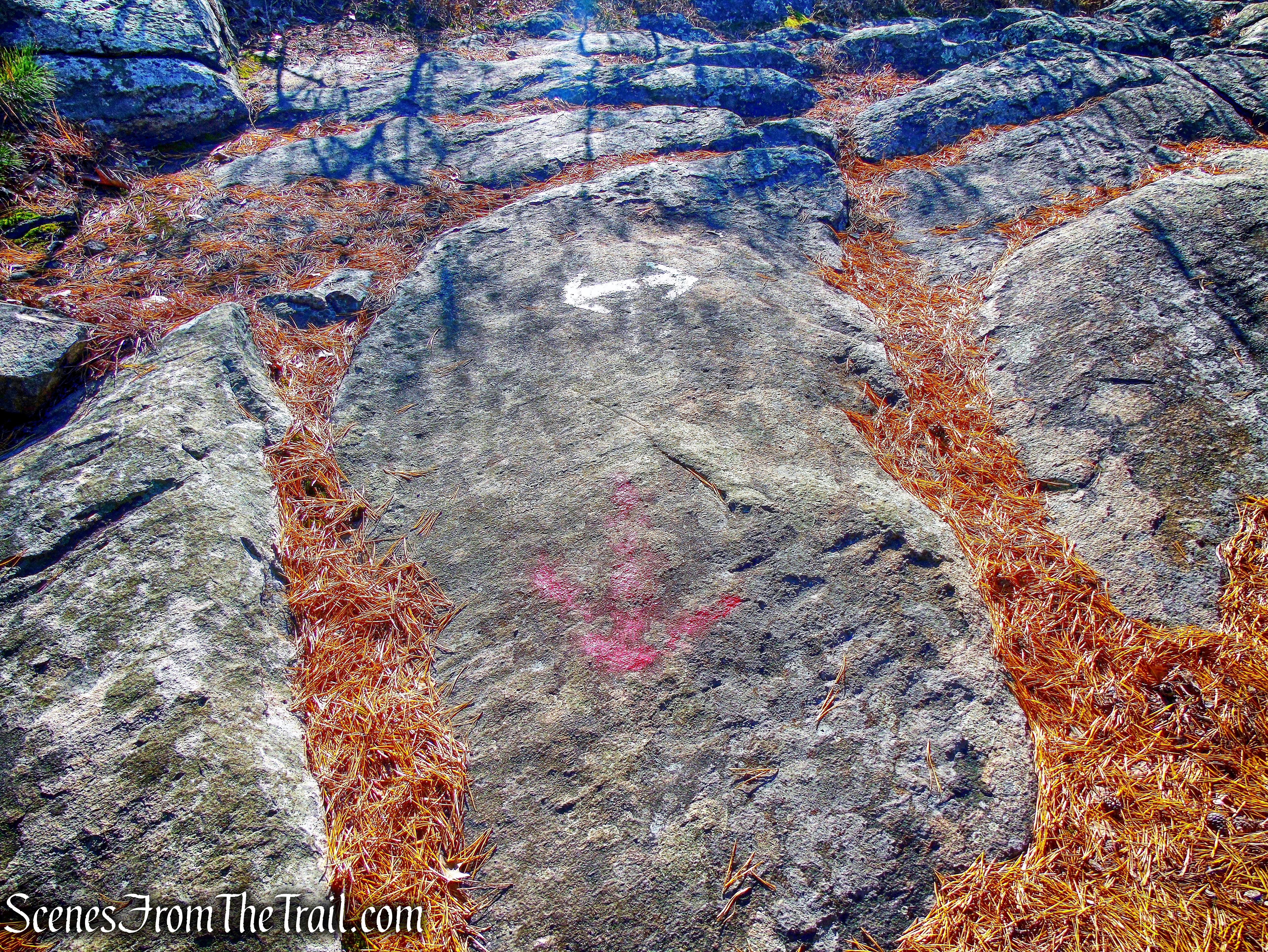 terminus of Overlook Trail