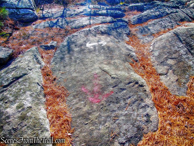 terminus of Overlook Trail