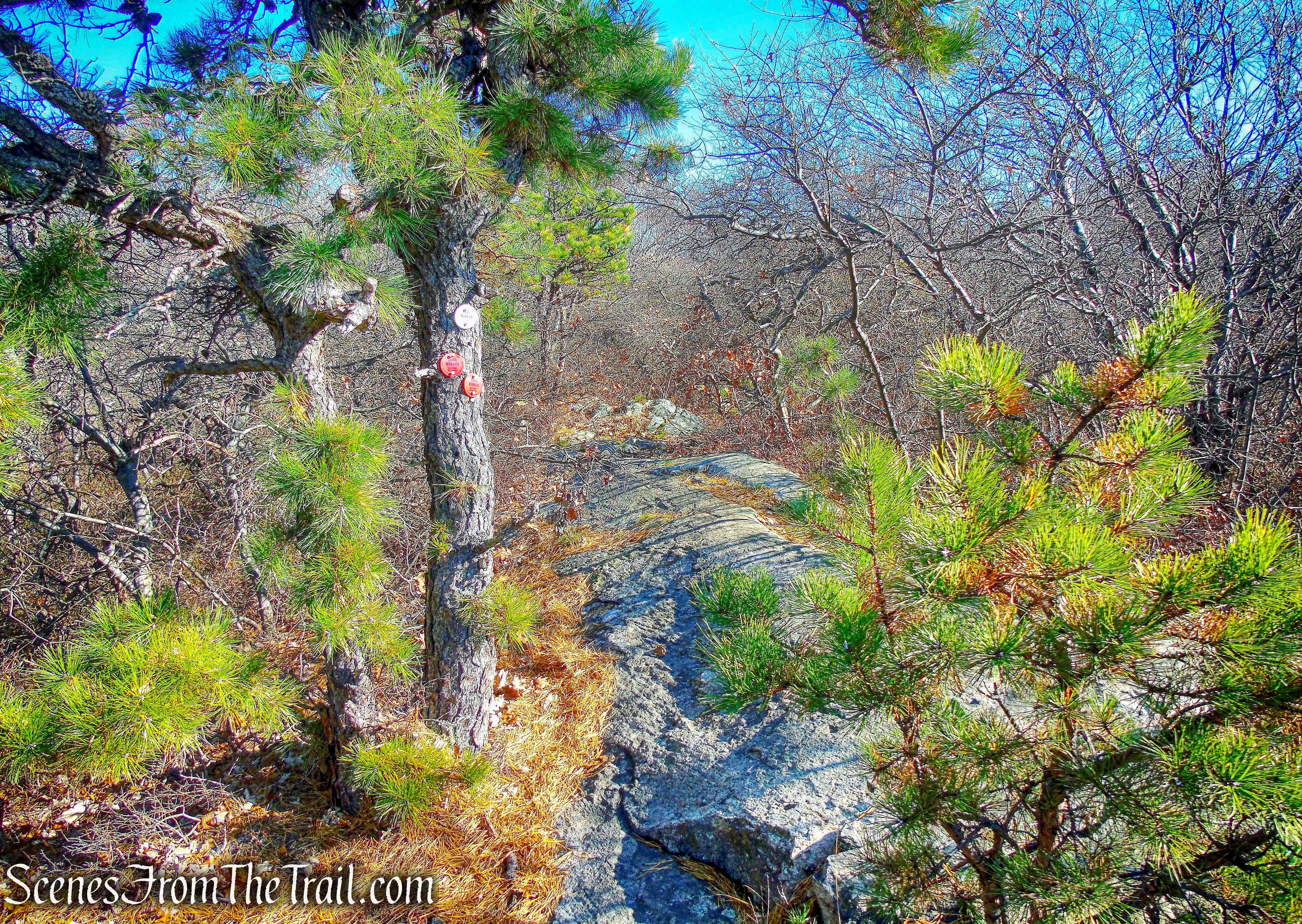 Fishkill Ridge Trail