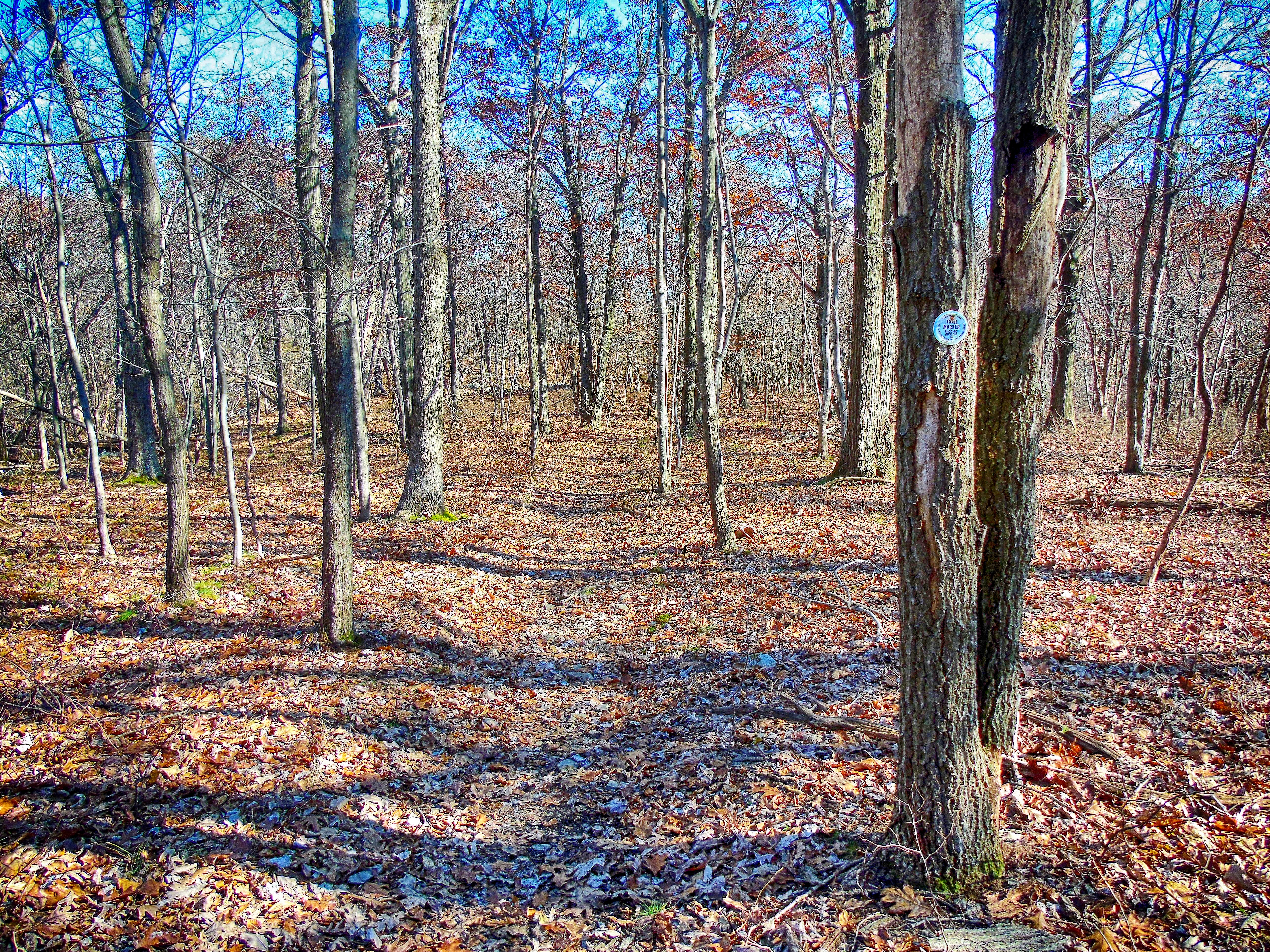 Fishkill Ridge Trail