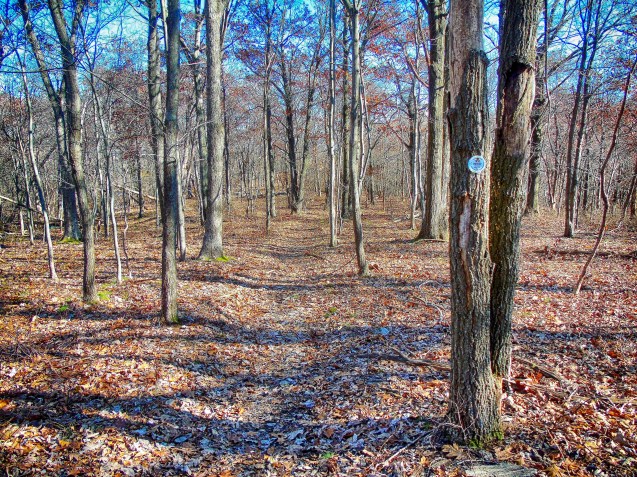 Fishkill Ridge Trail