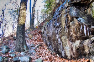 Fishkill Ridge Trail