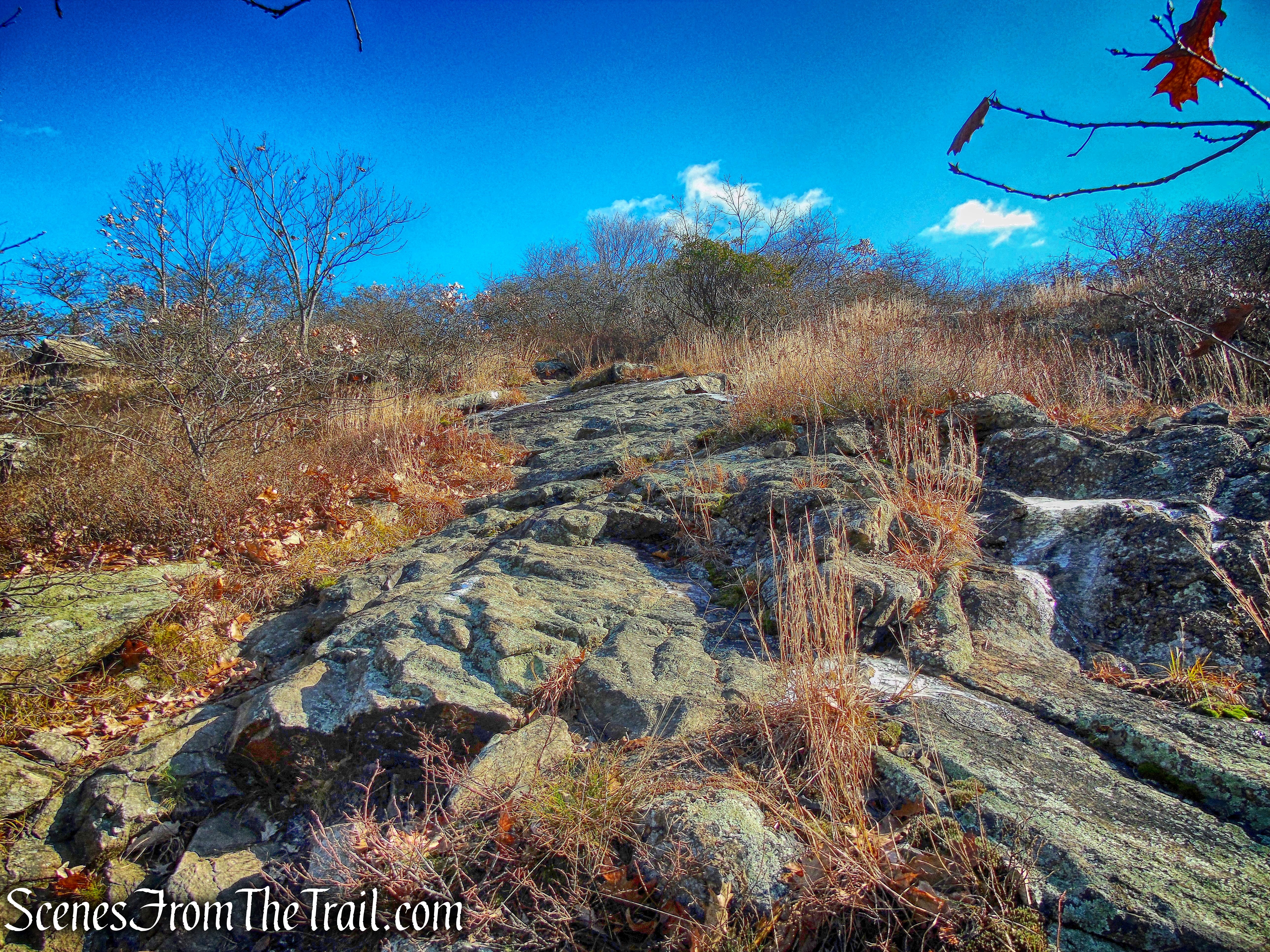 Fishkill Ridge Trail