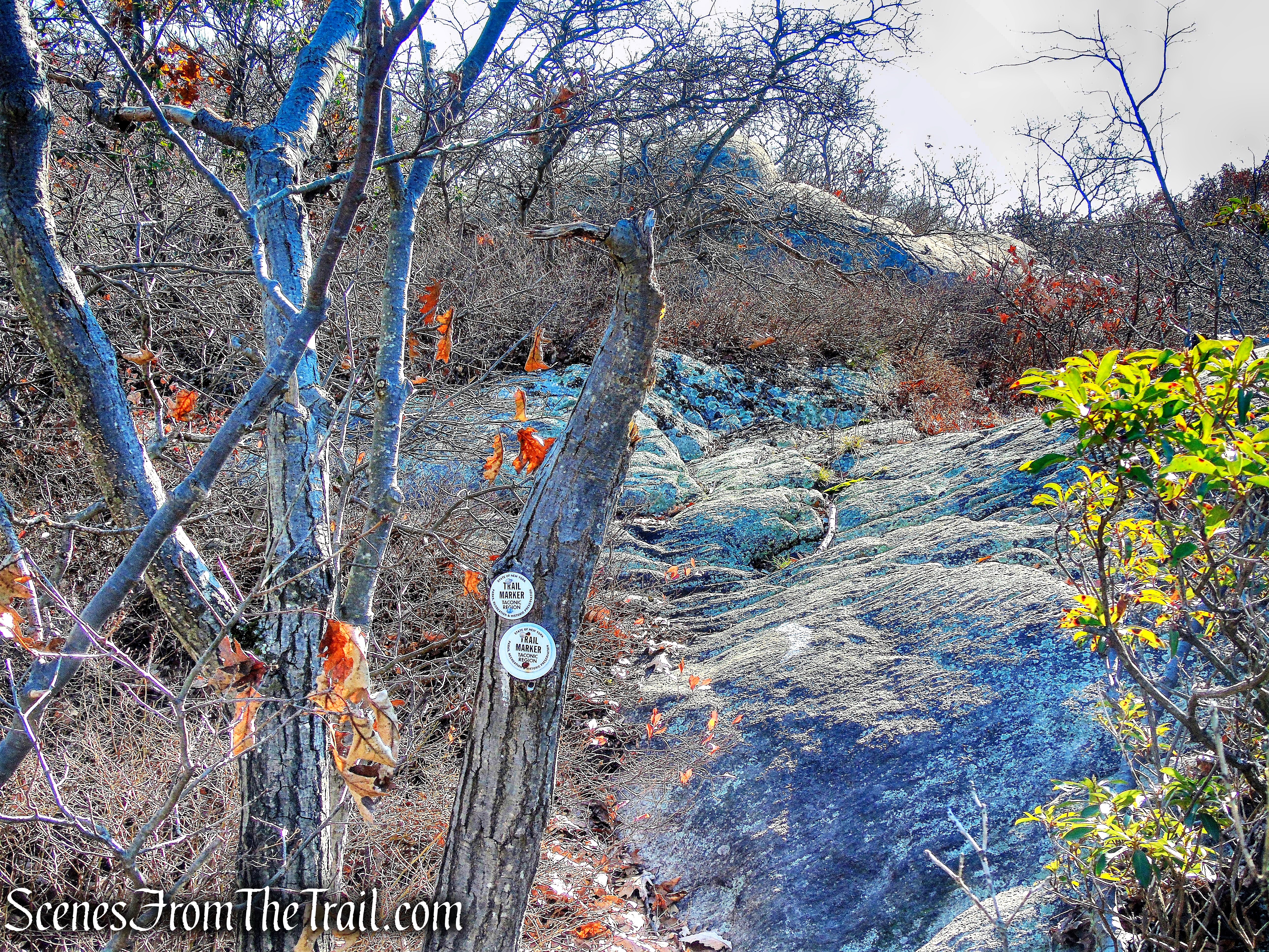 Fishkill Ridge Trail
