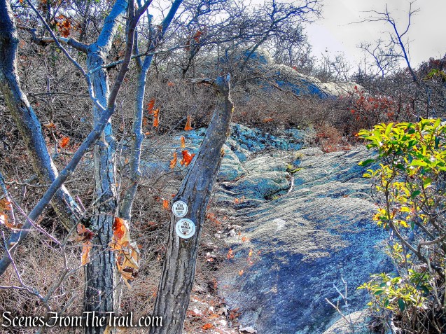 Fishkill Ridge Trail