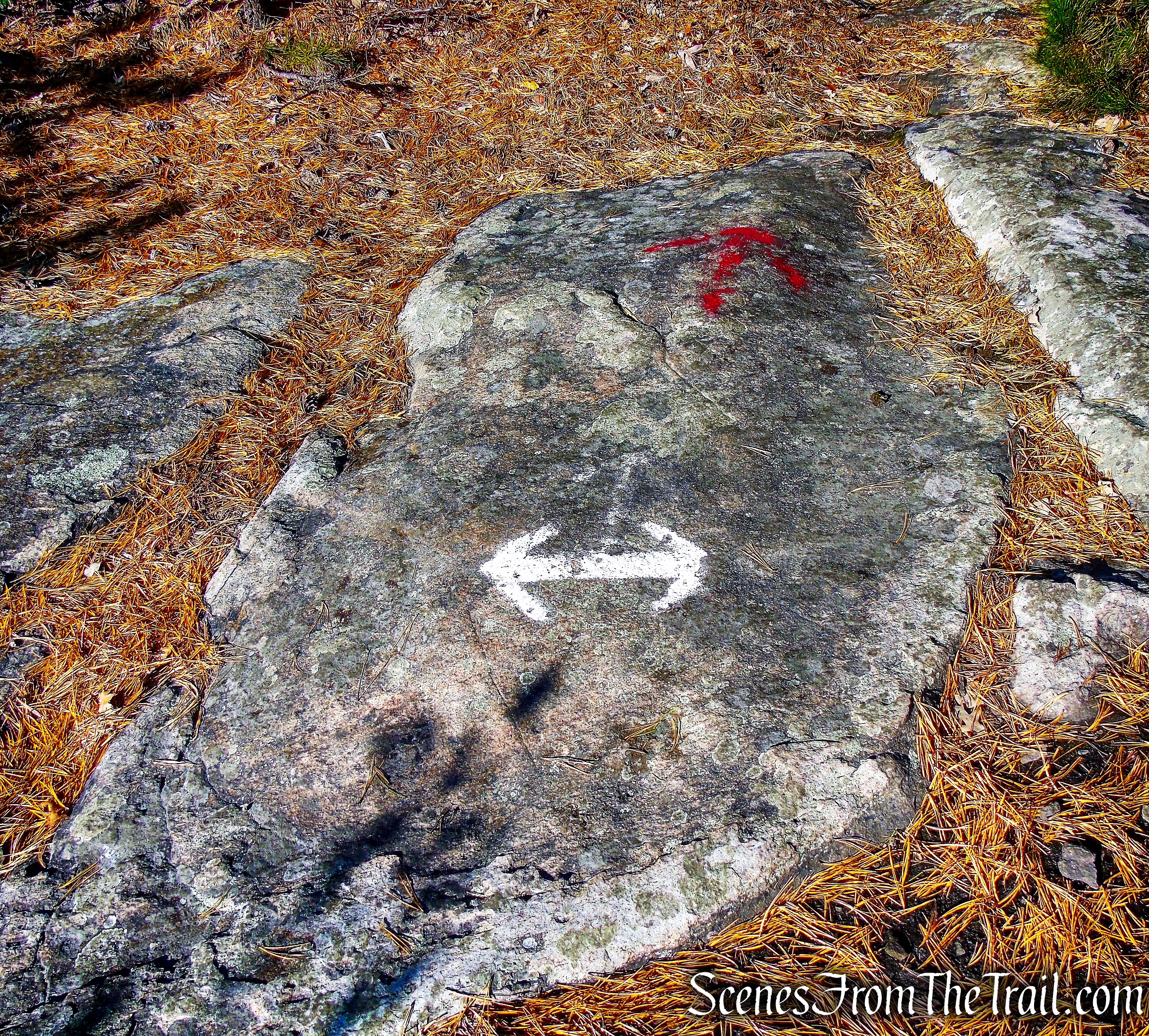 turn right on Overlook Trail