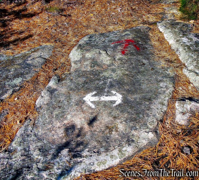 turn right on Overlook Trail