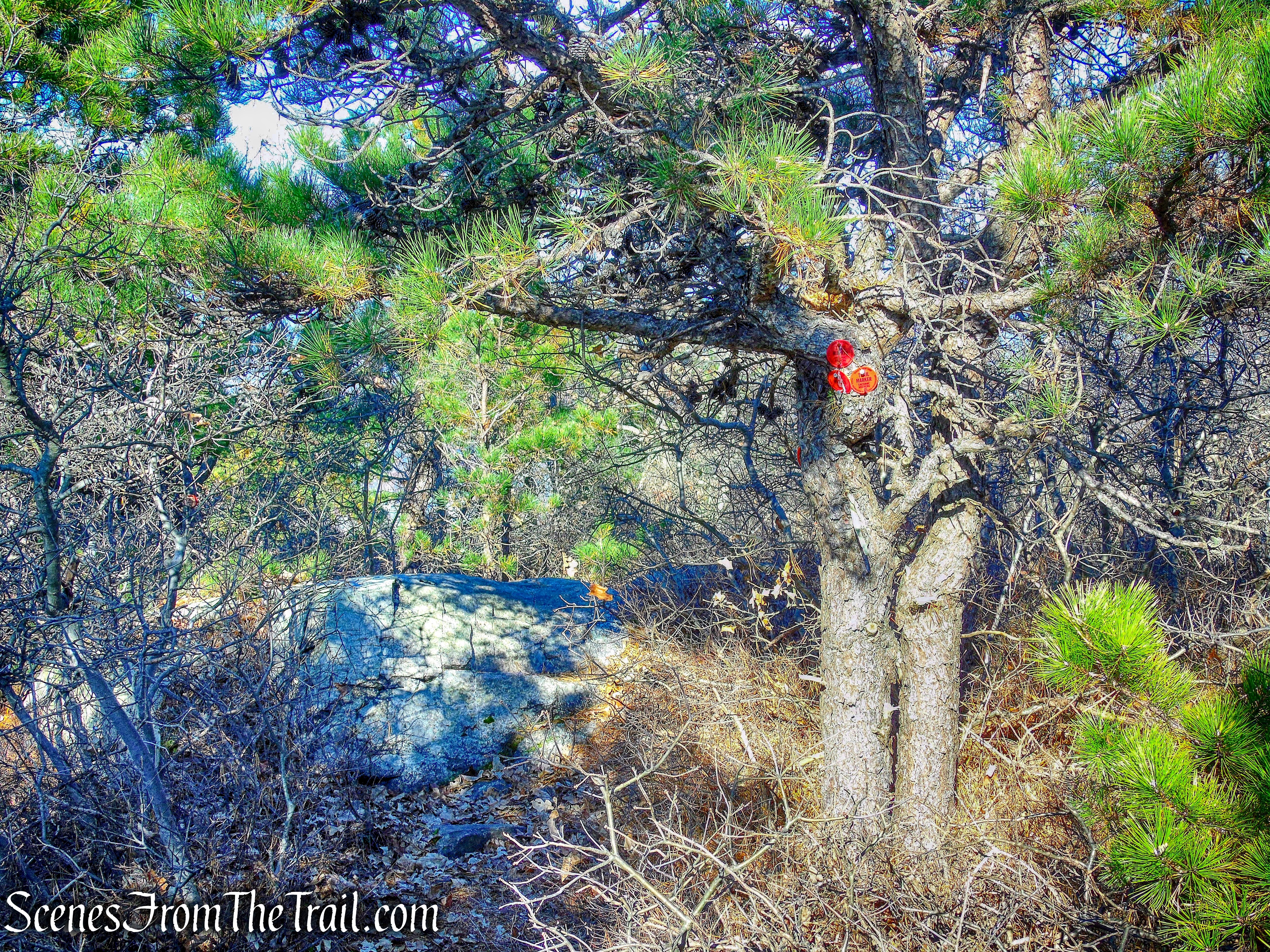 start of Overlook Trail