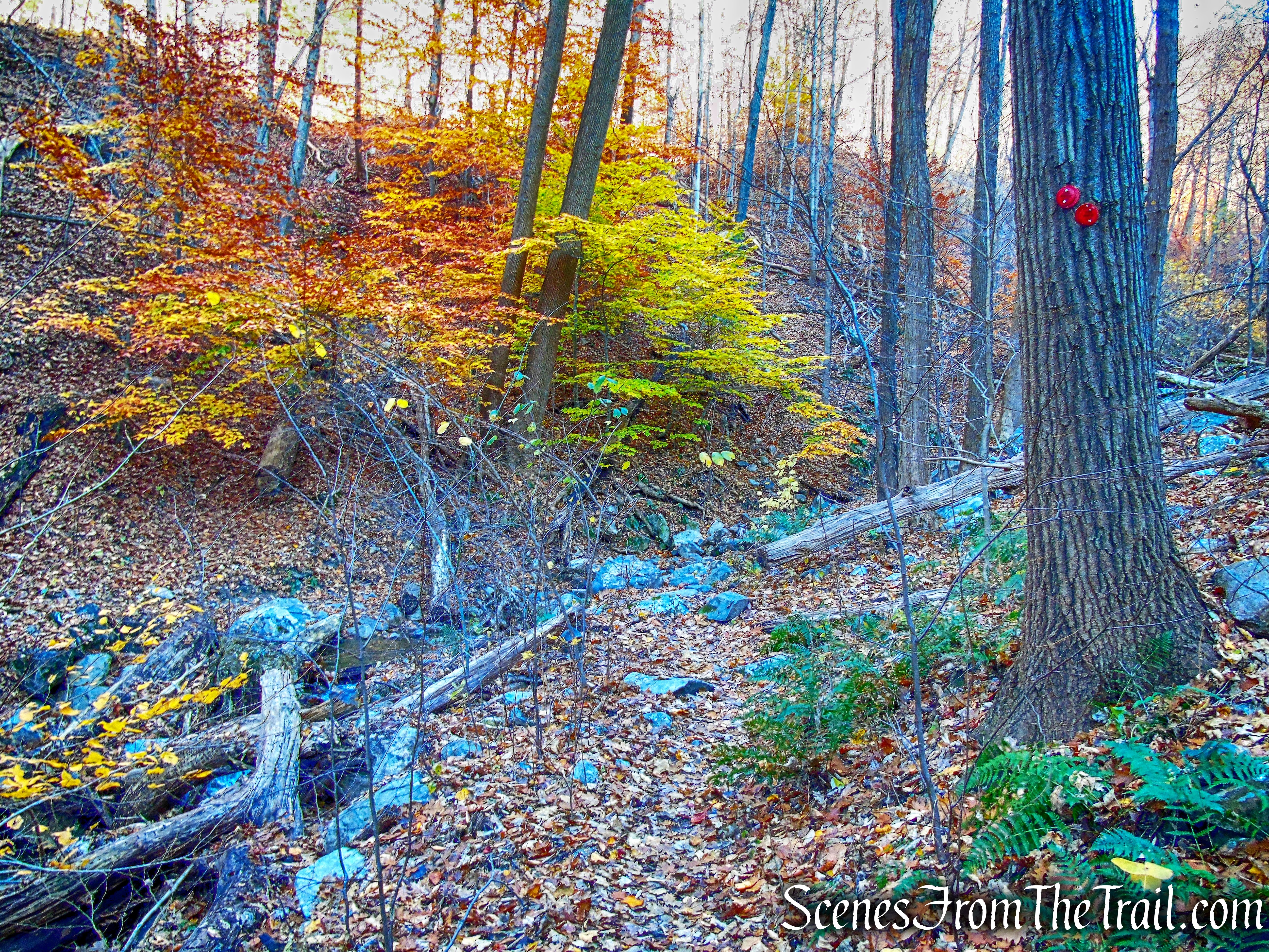 Overlook Trail