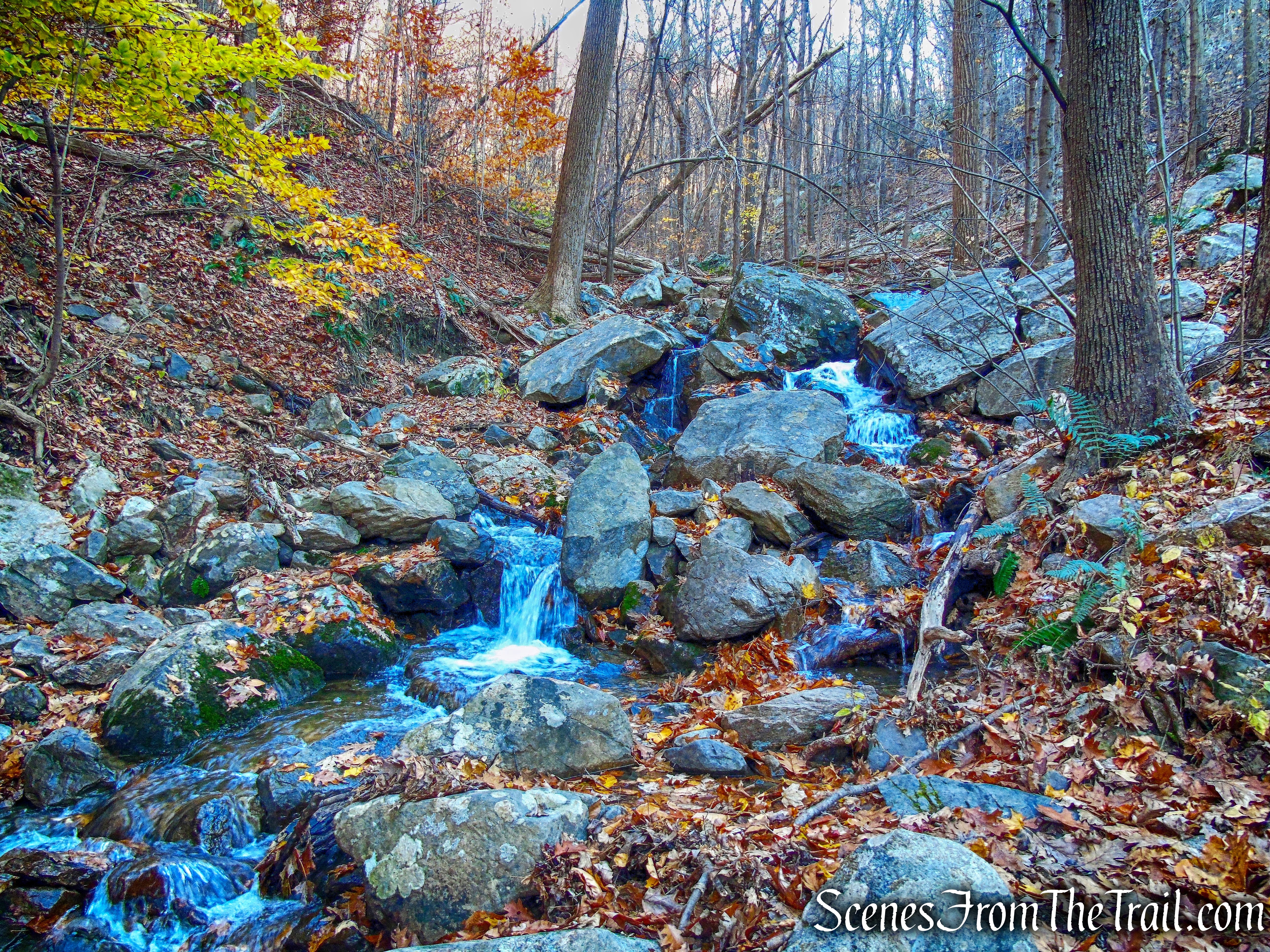 Clove Creek - Overlook Trail