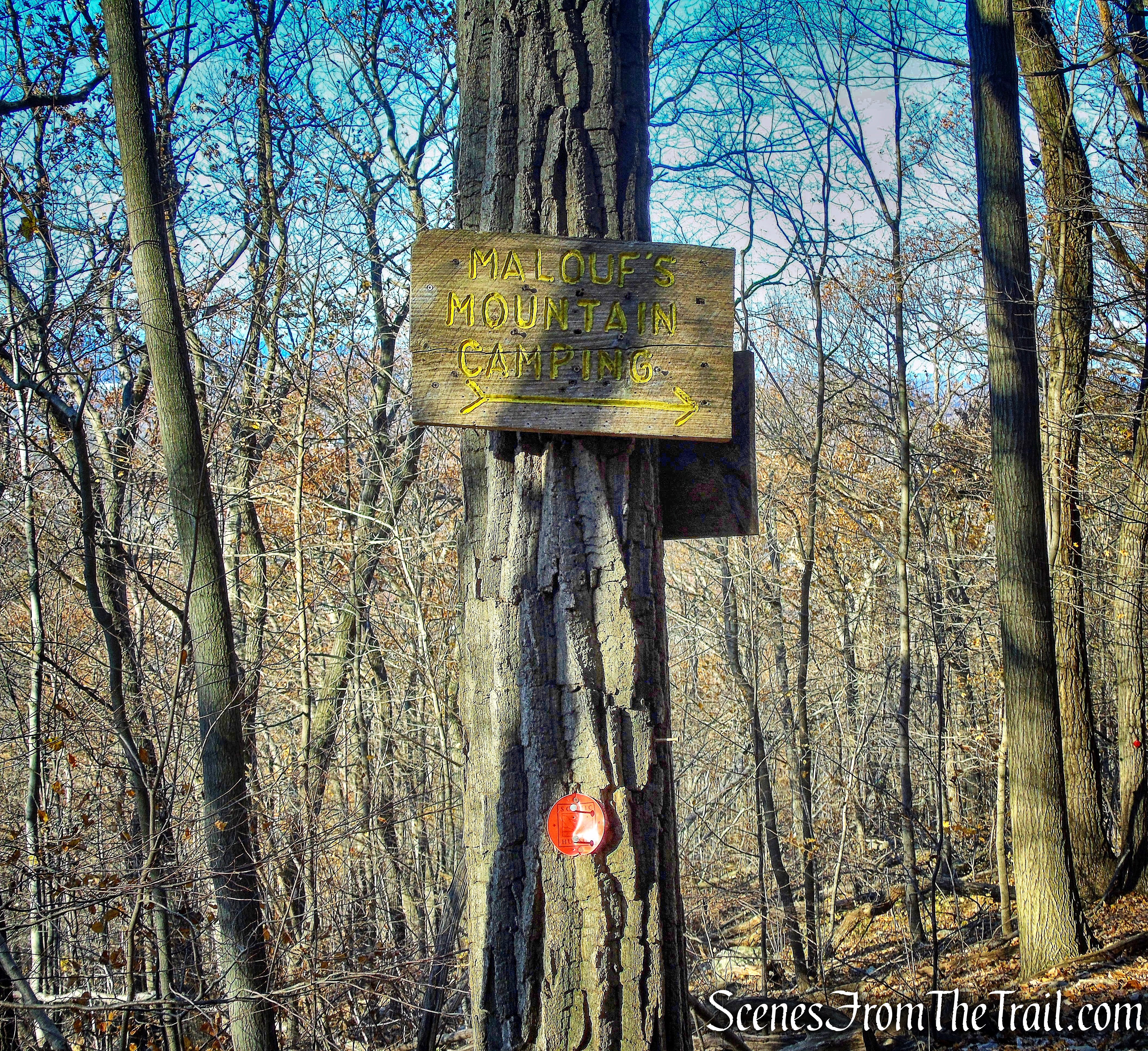 turn right on White Trail