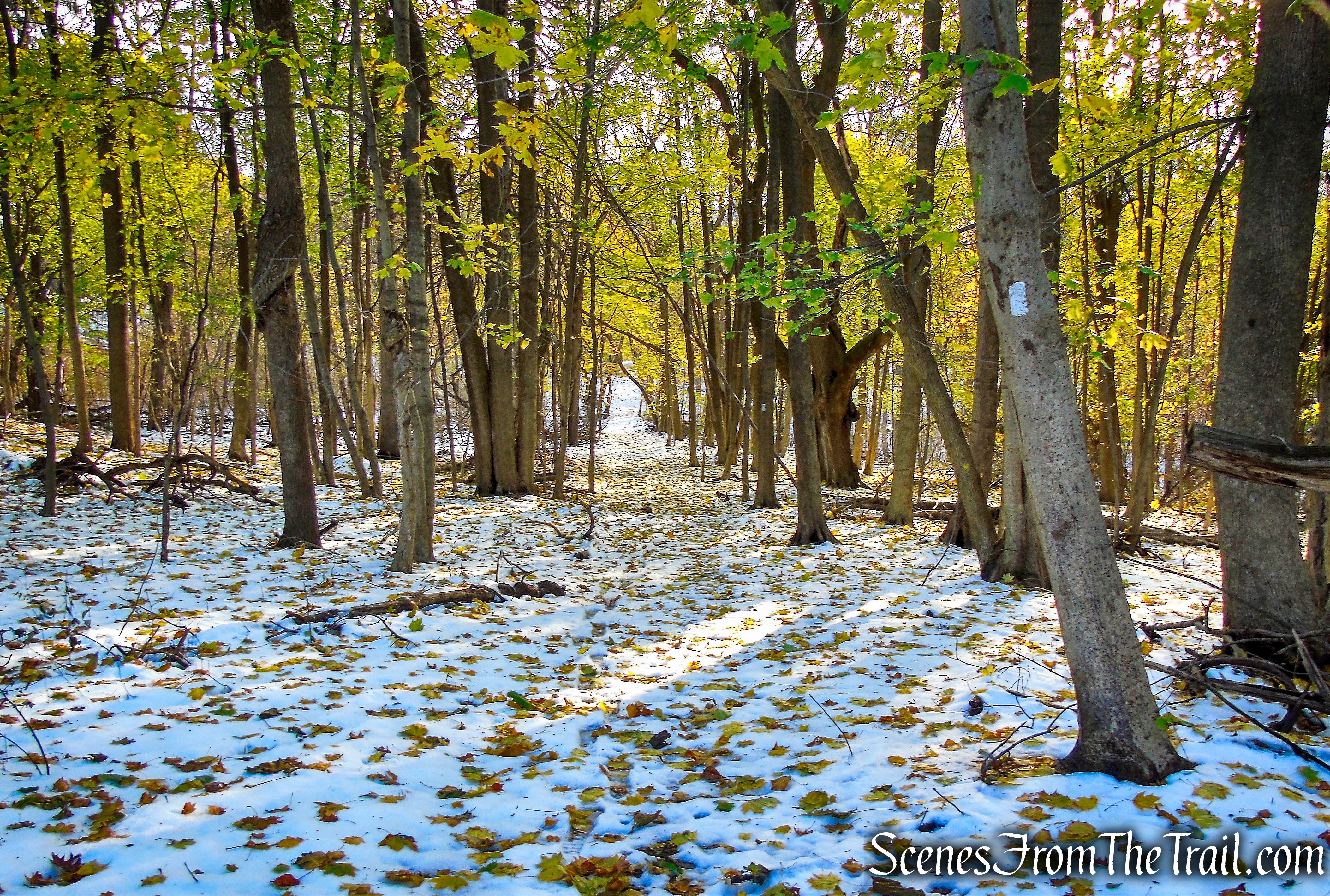 White Trail - McAndrews Estate