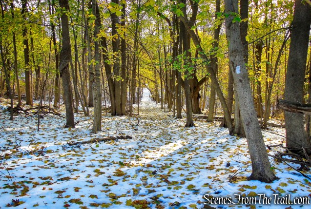 White Trail - McAndrews Estate