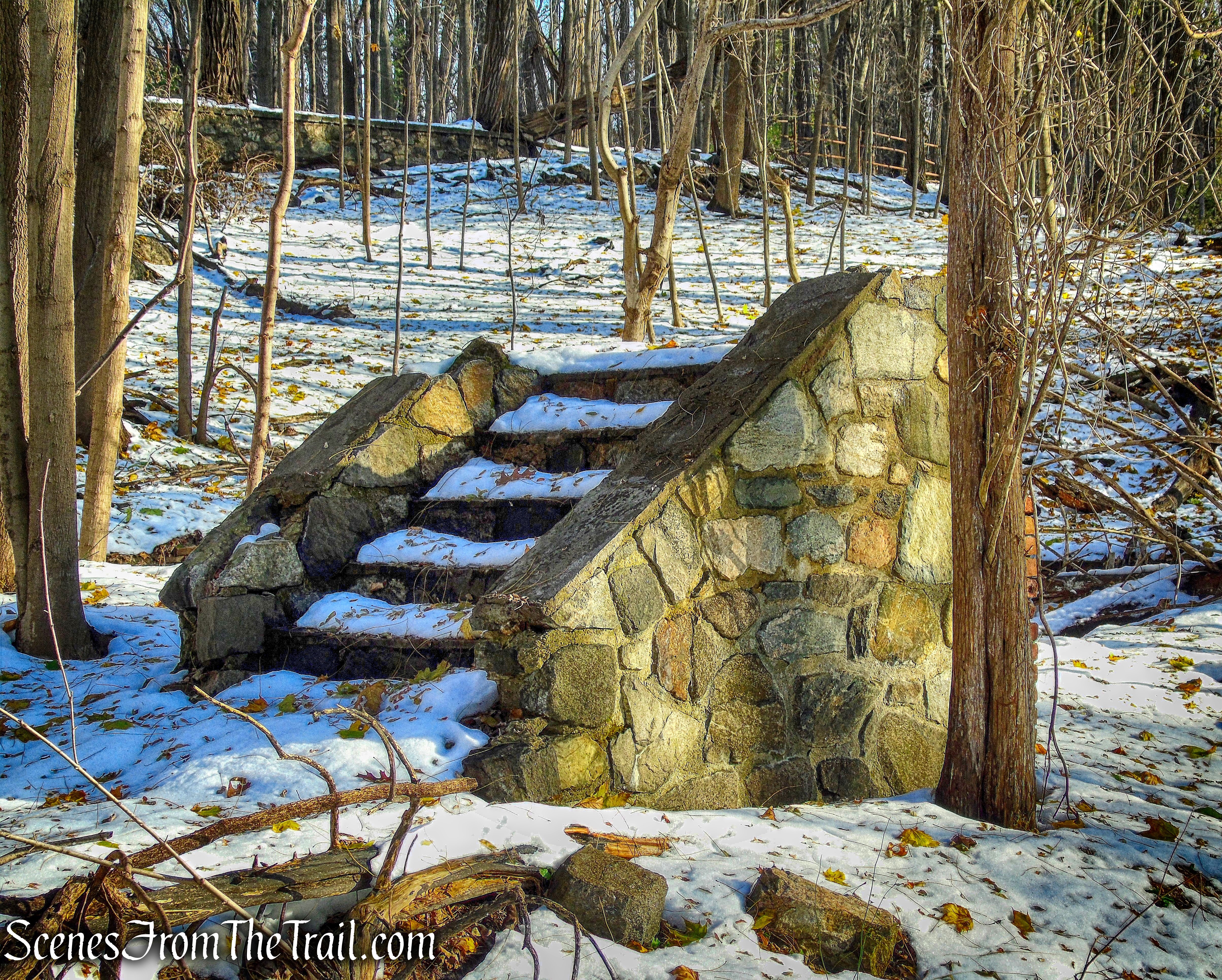 Johnson house steps