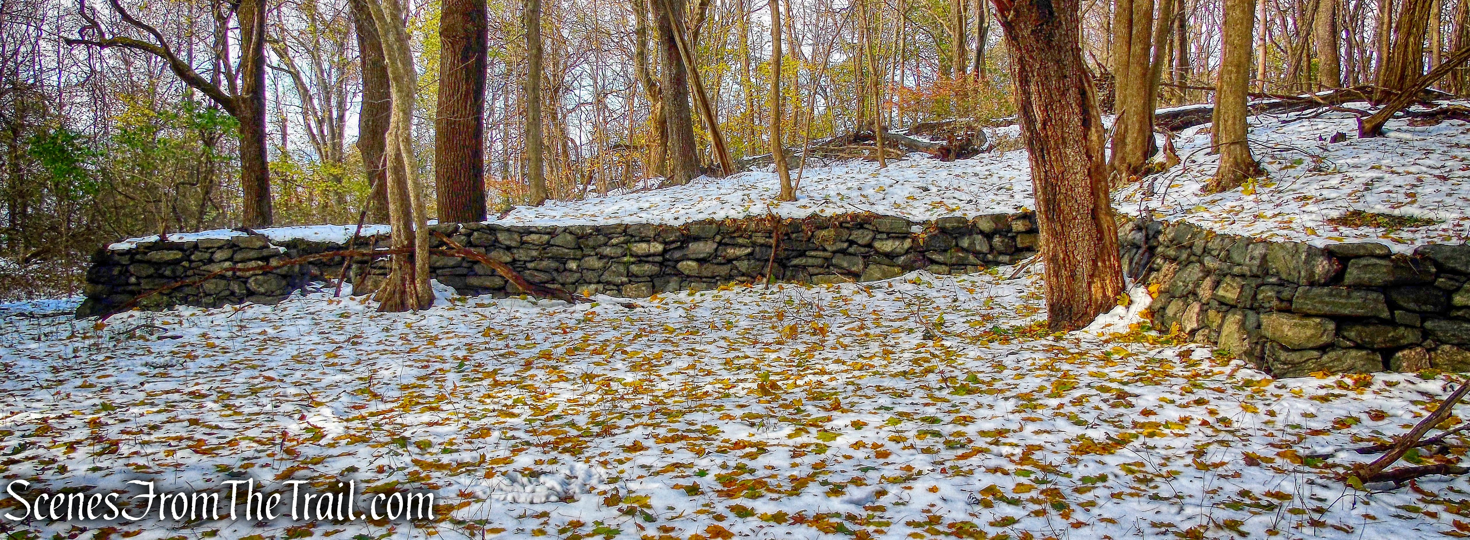 Cruger Mansion Foundation - McAndrews Estate