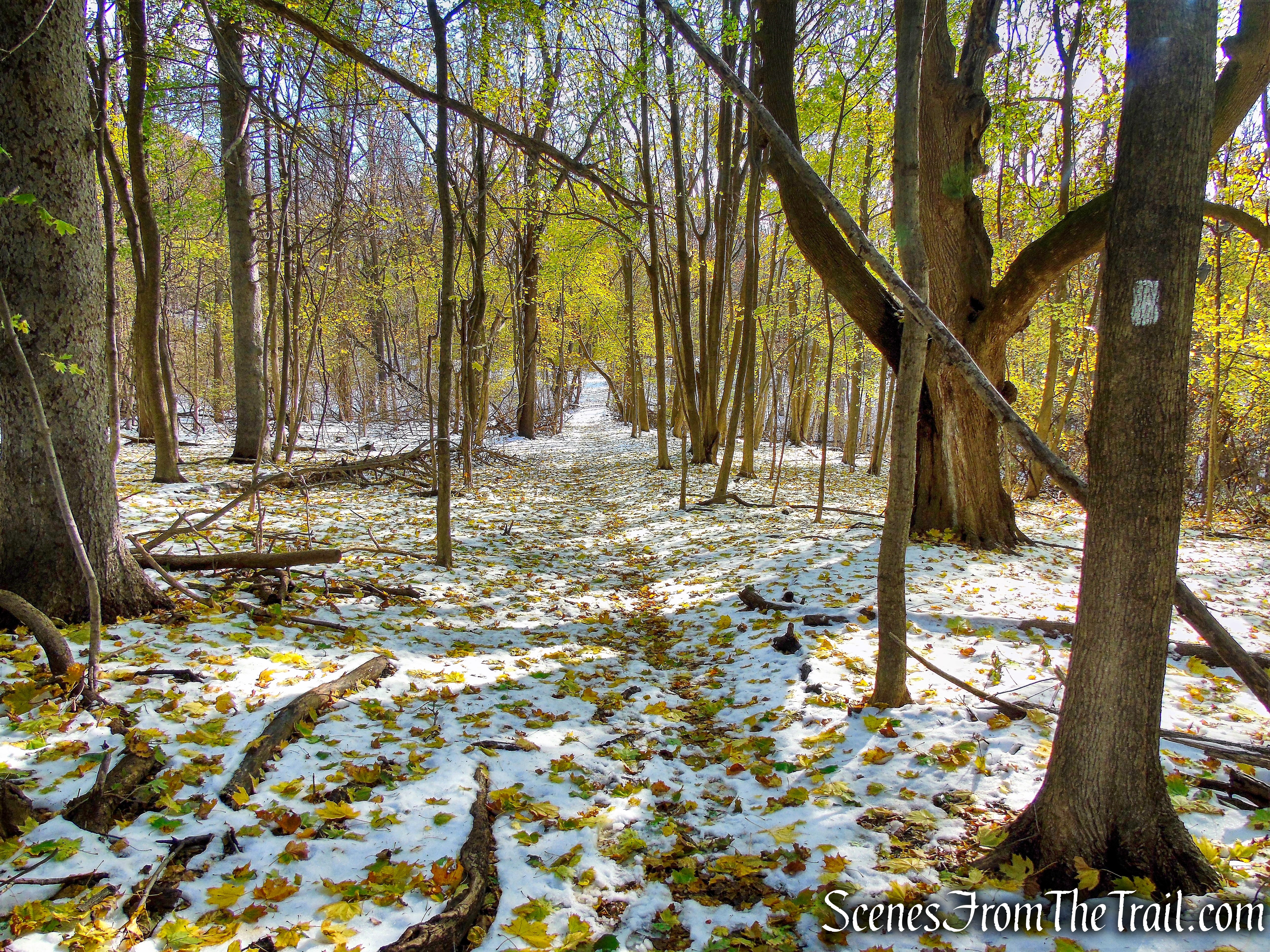 White Trail - McAndrews Estate