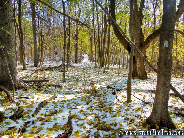 White Trail - McAndrews Estate