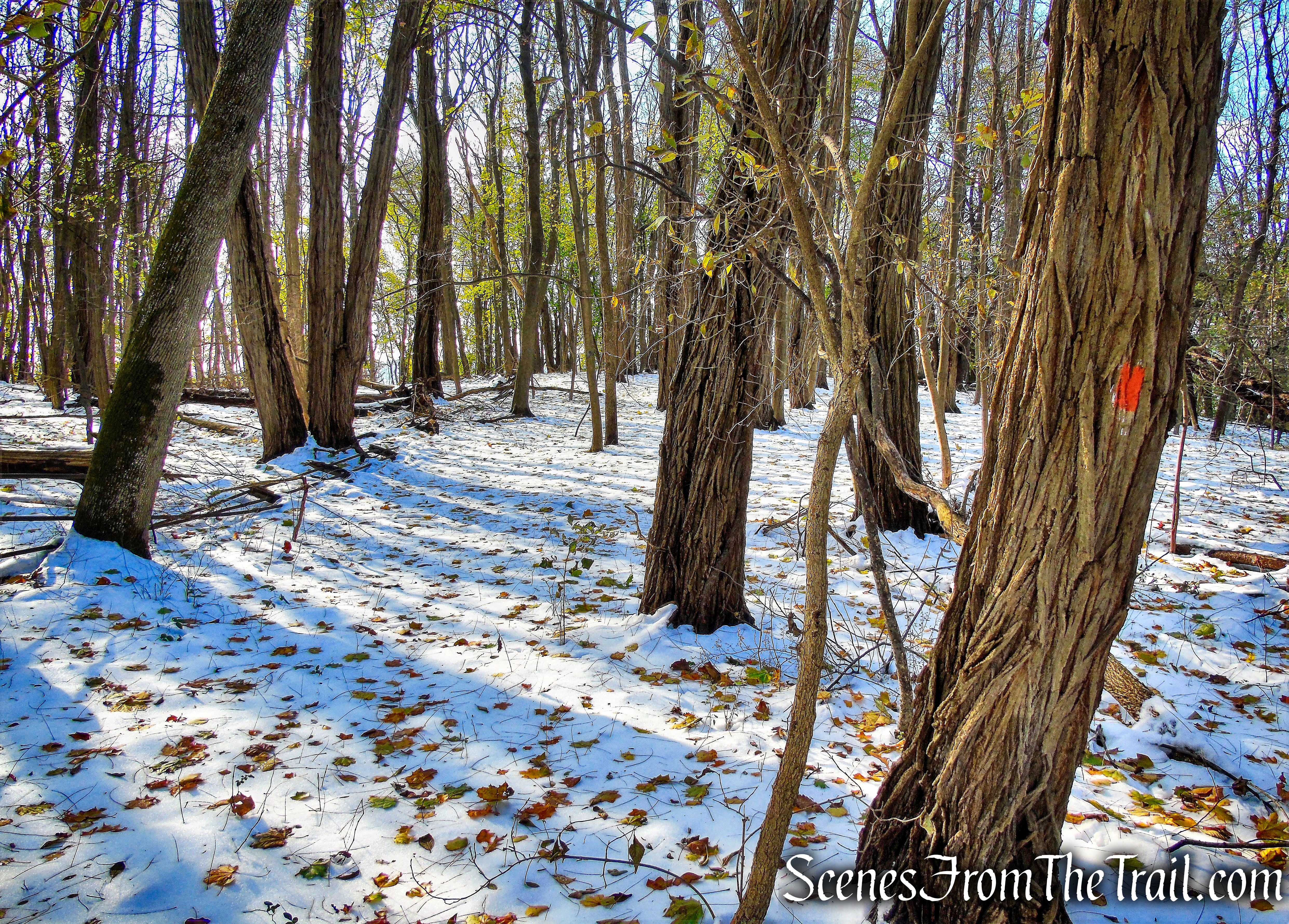 Orange Trail - McAndrews Estate