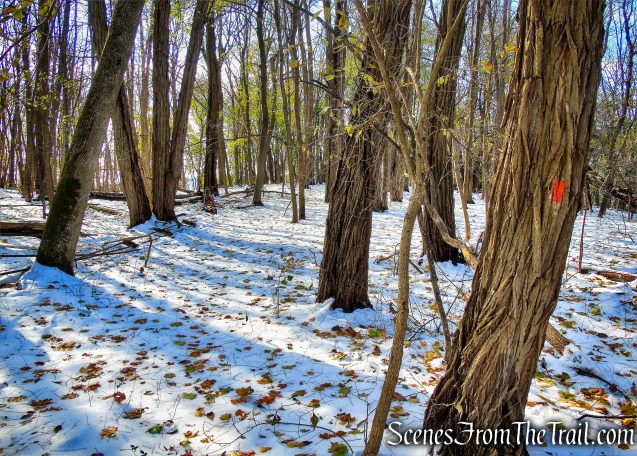 Orange Trail - McAndrews Estate