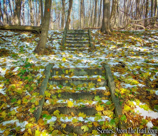 Orange Trail - McAndrews Estate