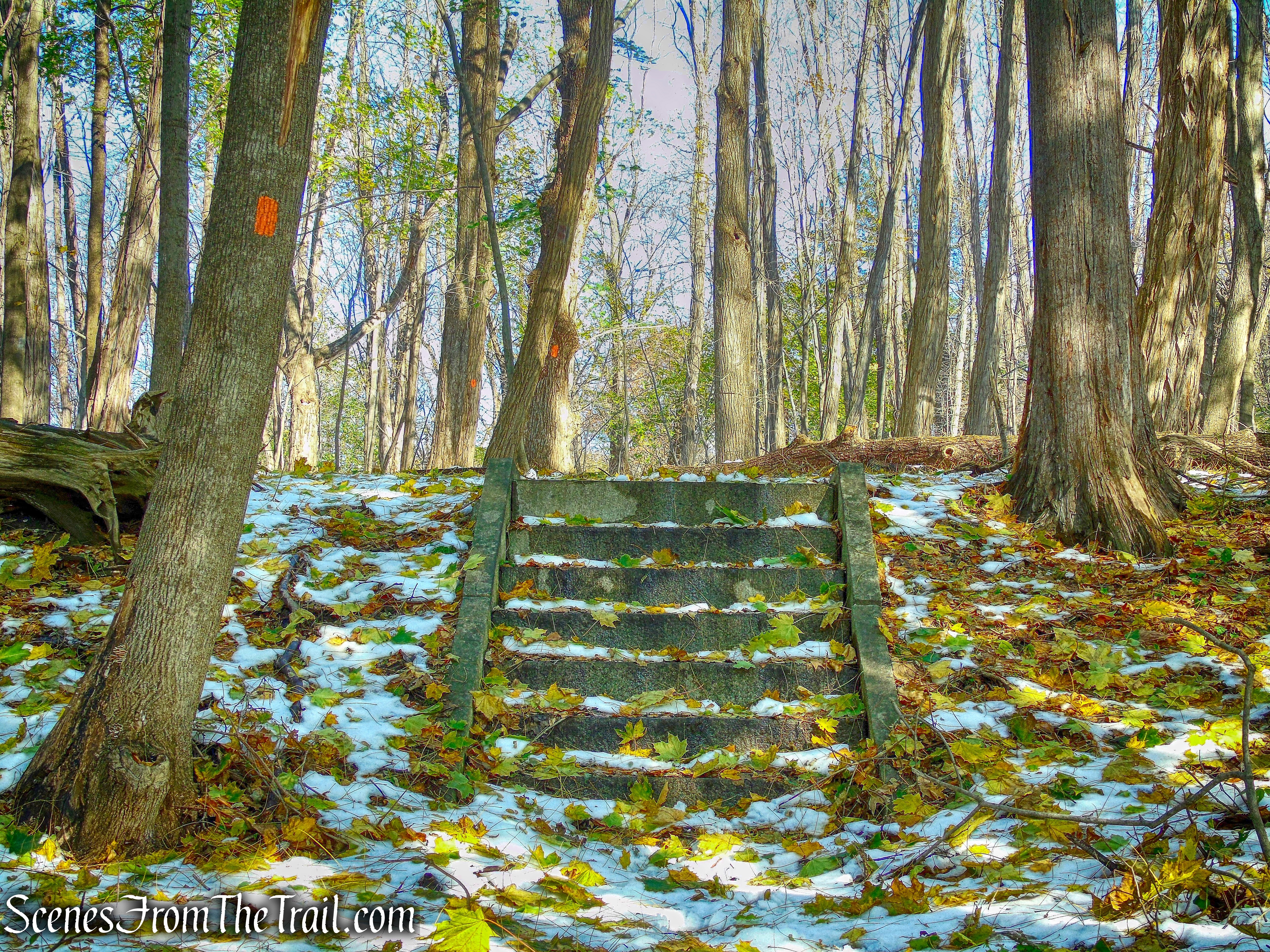 Orange Trail - McAndrews Estate