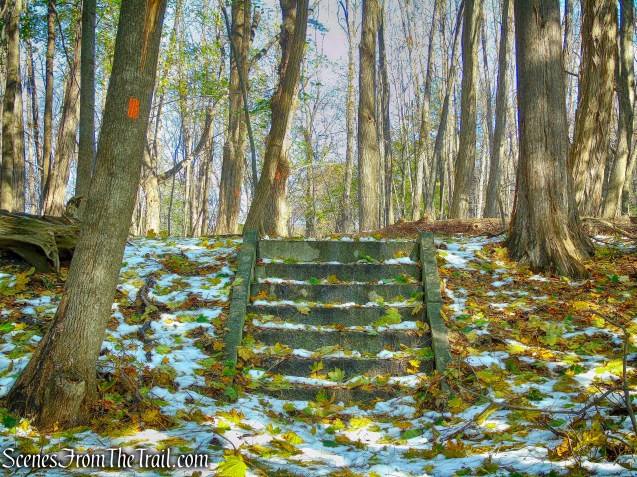 Orange Trail - McAndrews Estate