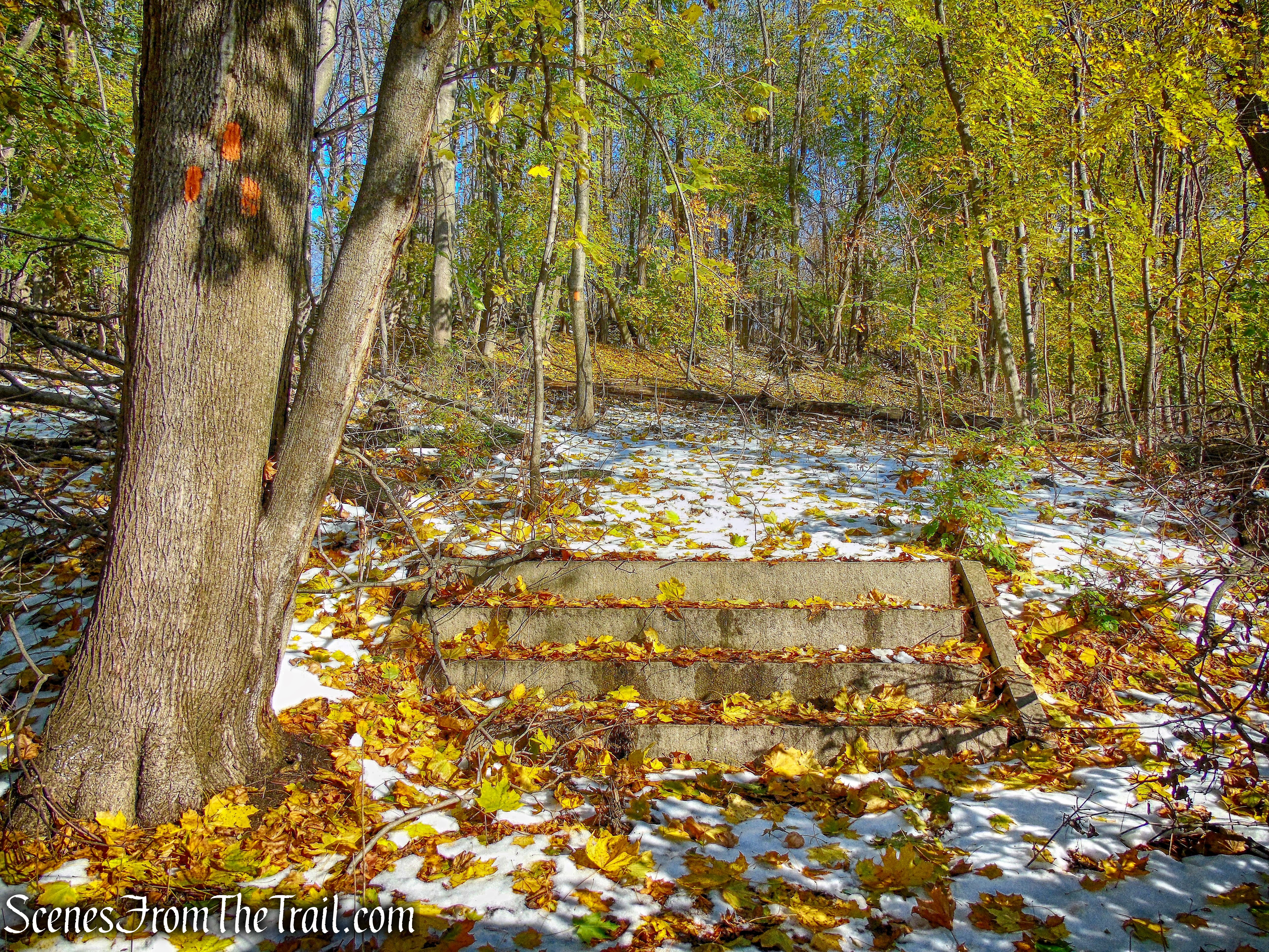 Orange Trail - McAndrews Estate