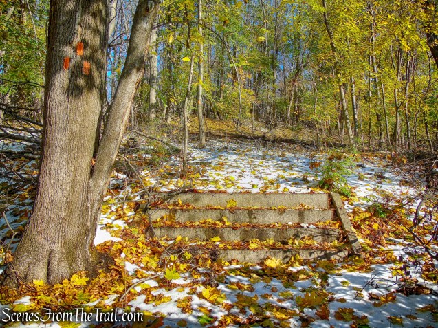 Orange Trail - McAndrews Estate