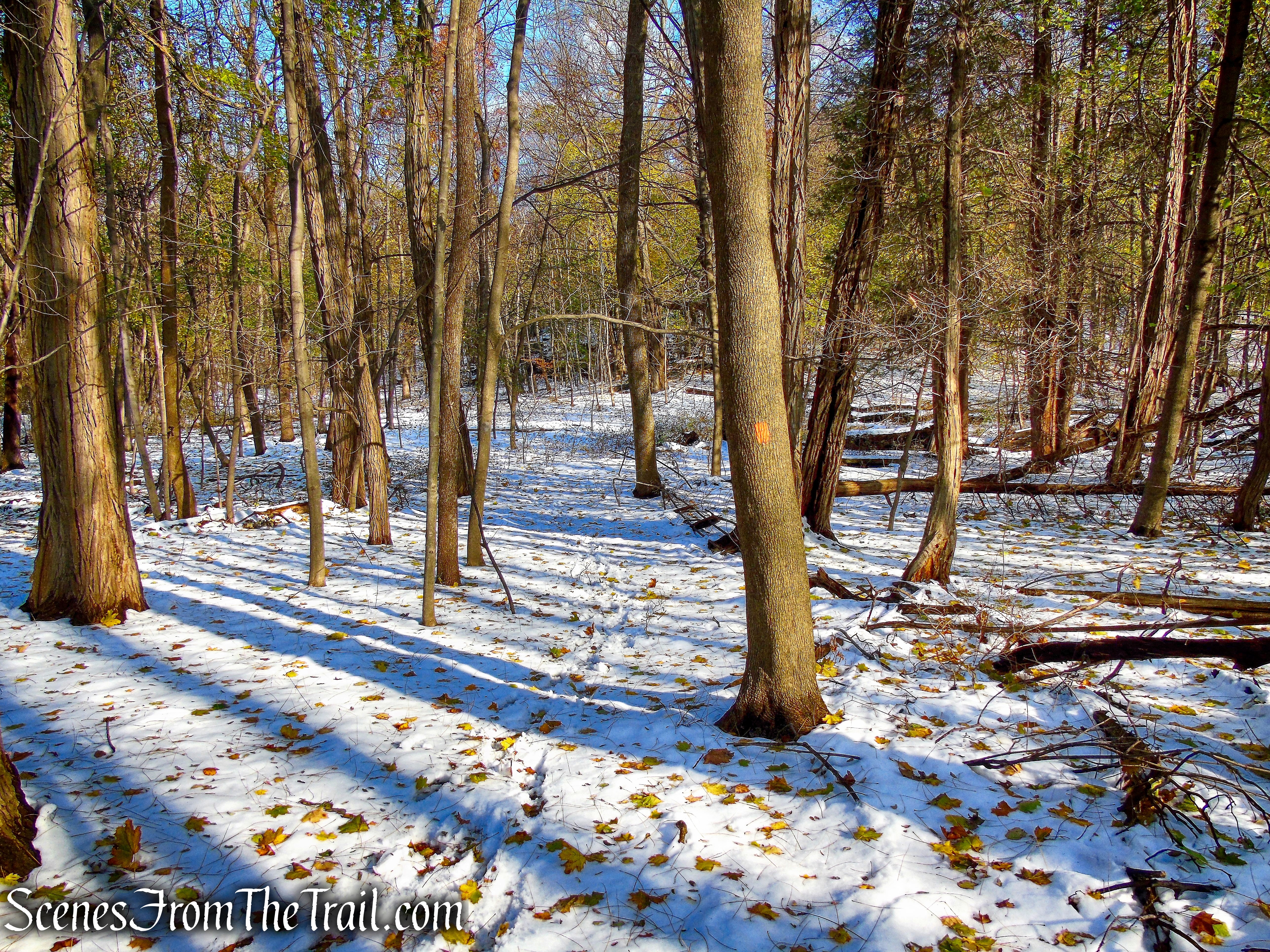 Orange Trail - McAndrews Estate