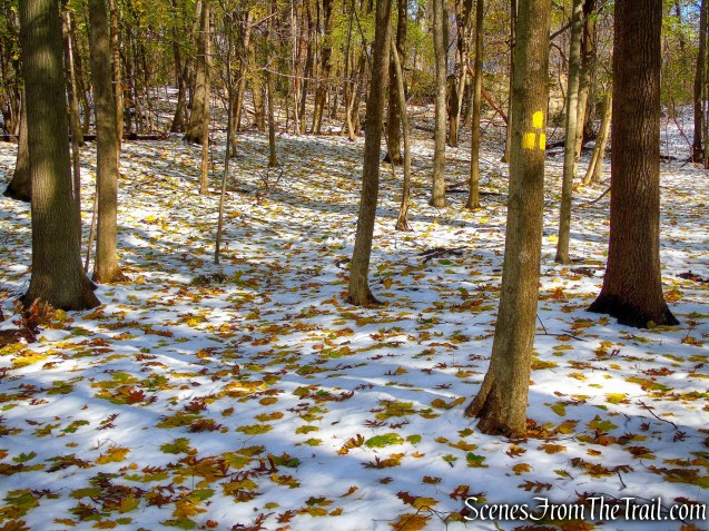 Yellow Trail - McAndrews Estate
