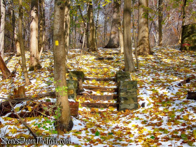 Yellow Trail - McAndrews Estate