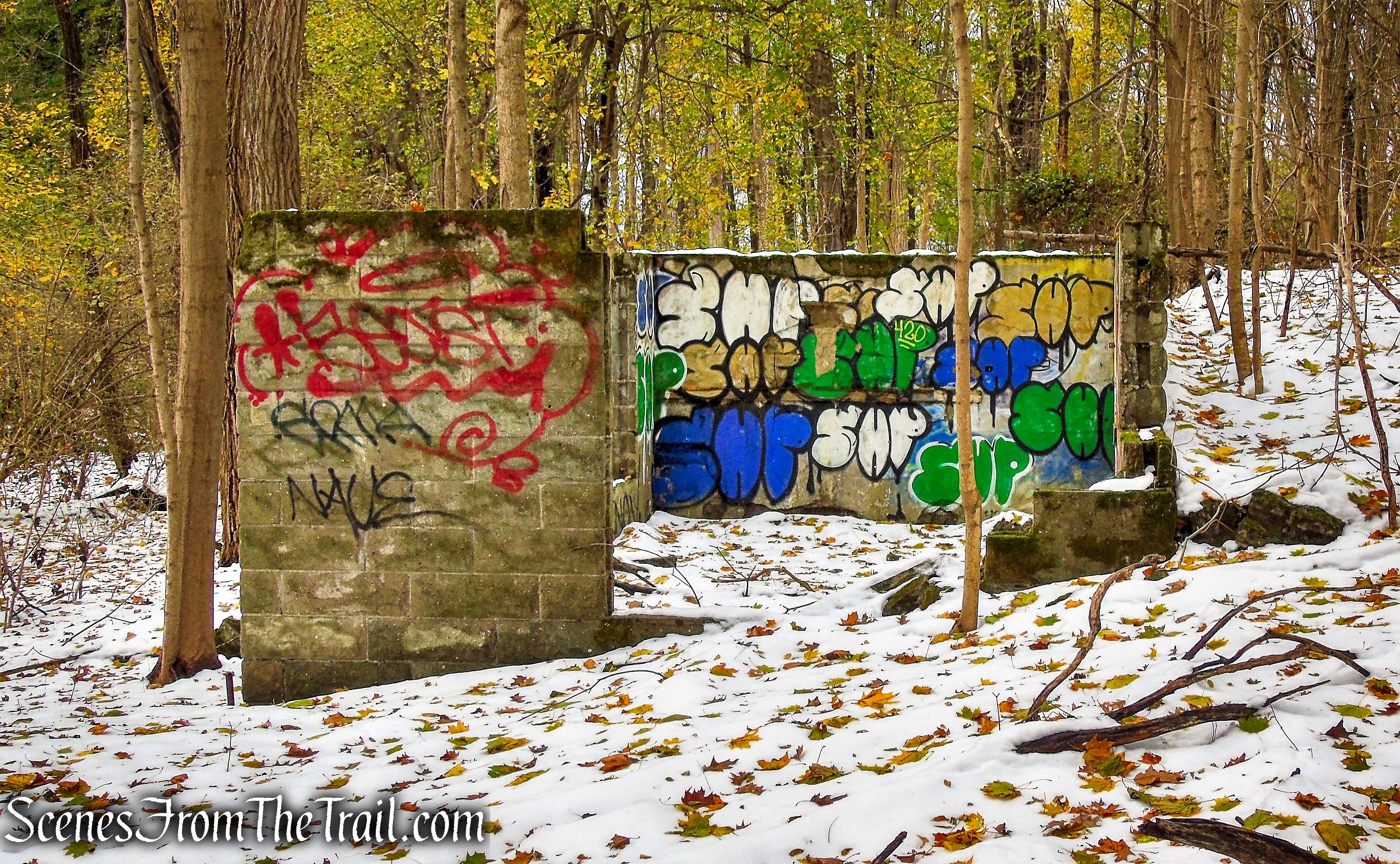 chicken coop ruins - McAndrews Estate