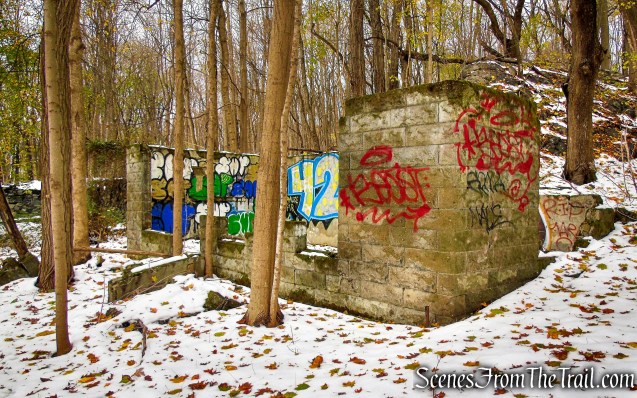 chicken coop ruins - McAndrews Estate