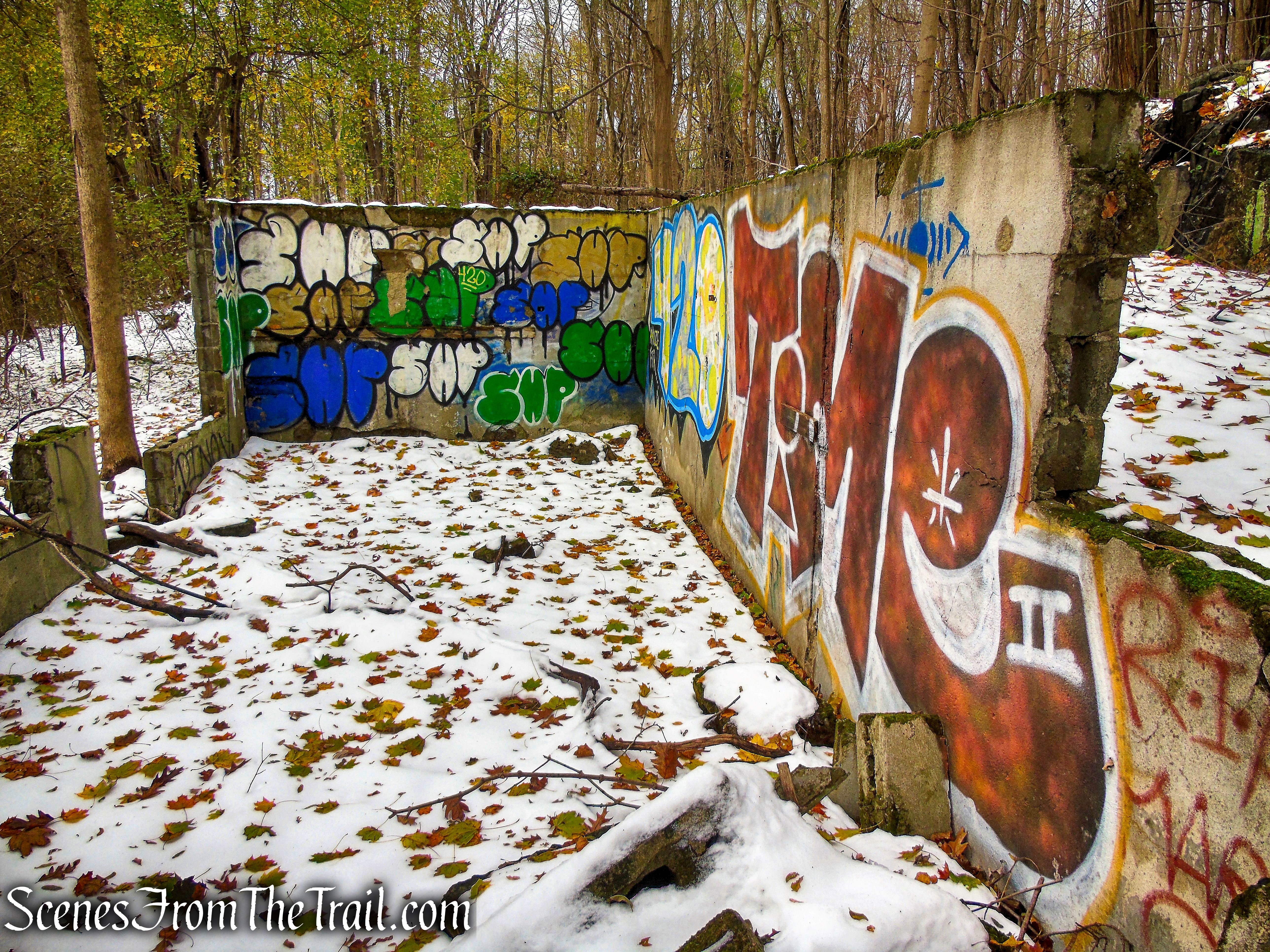 chicken coop ruins - McAndrews Estate