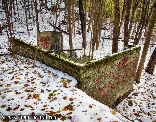 chicken coop ruins - McAndrews Estate